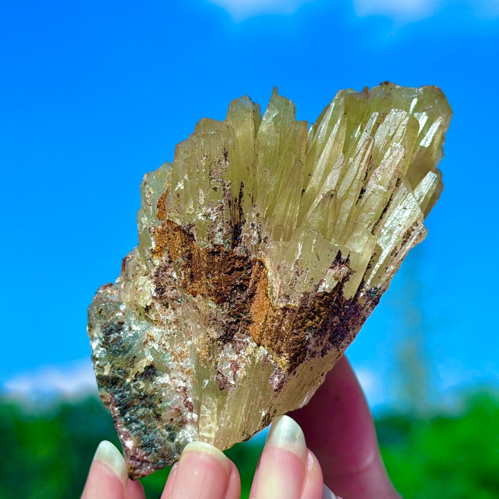 247G Natural Yellow-Green Calcite Crystal Gem Quartz Points Mineral Specimens