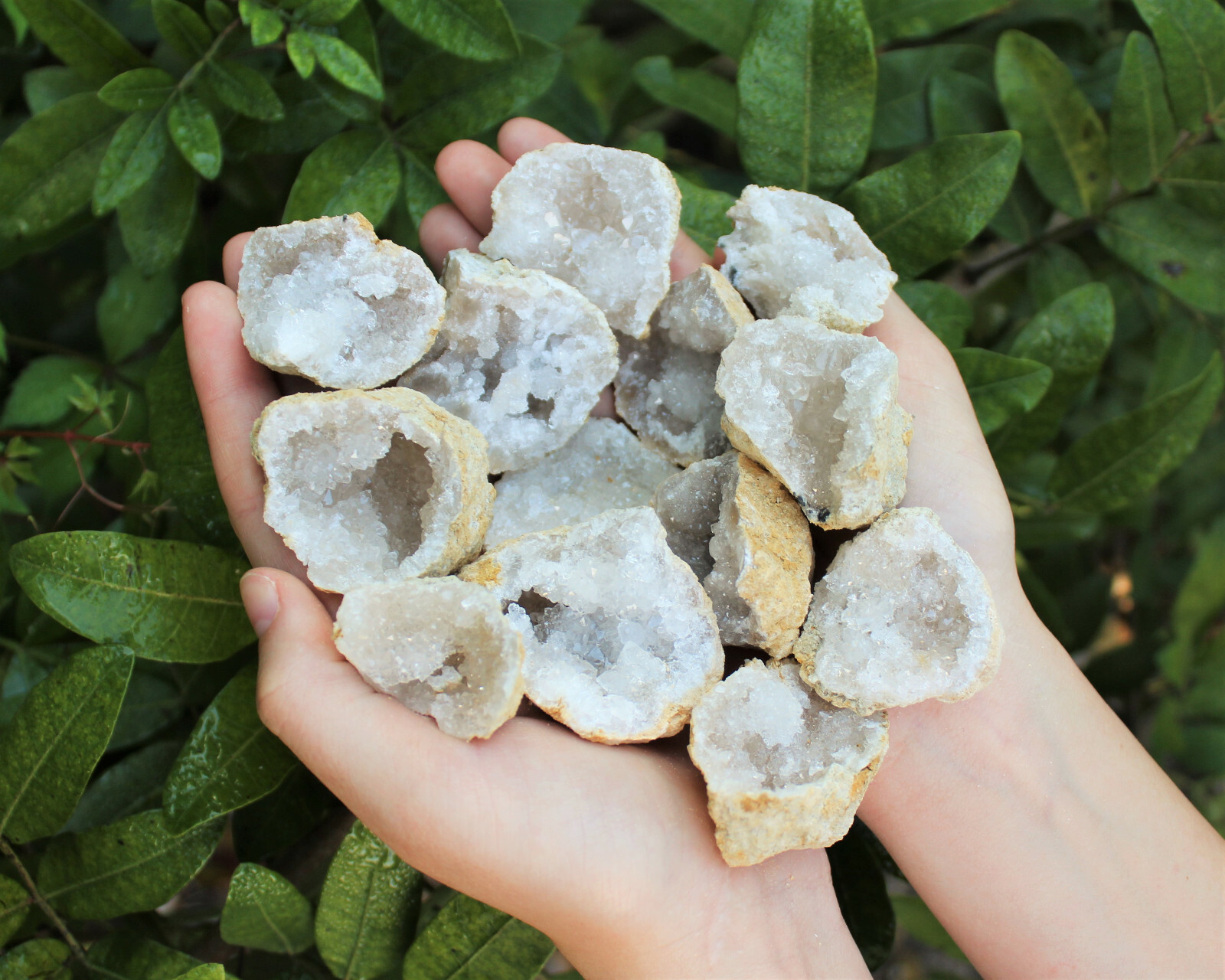 Break Your Own Geodes Gift Box (8 – 12 pcs) Large Unopened Moroccan Crystals