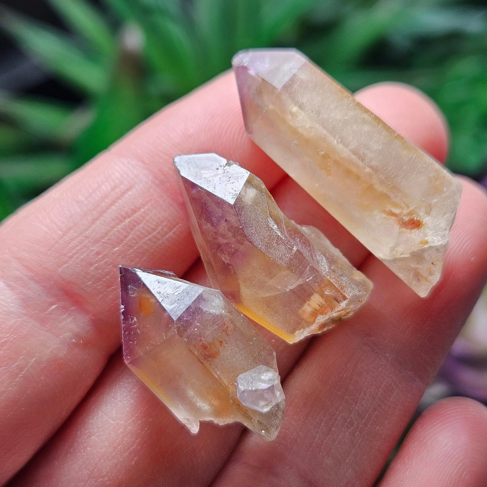 Trapiche Amethyst Quartz