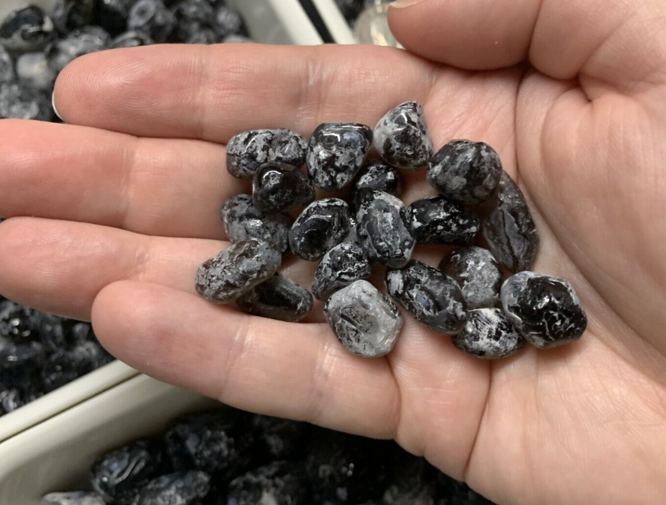 20 count Apache Tears from Superior, Arizona under half an inch