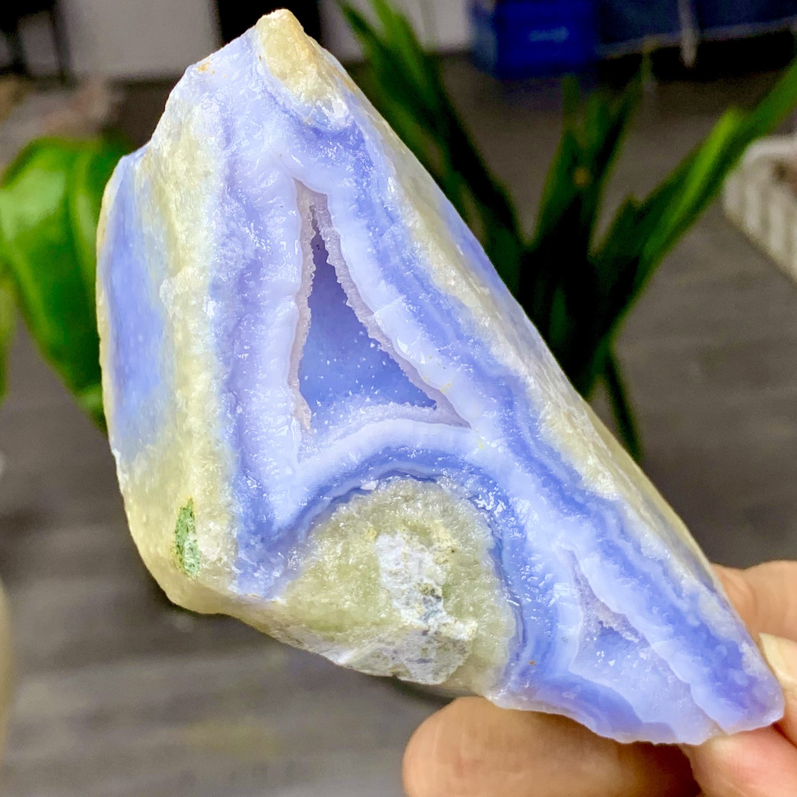 203G Natural blue textured agate specimens Healing