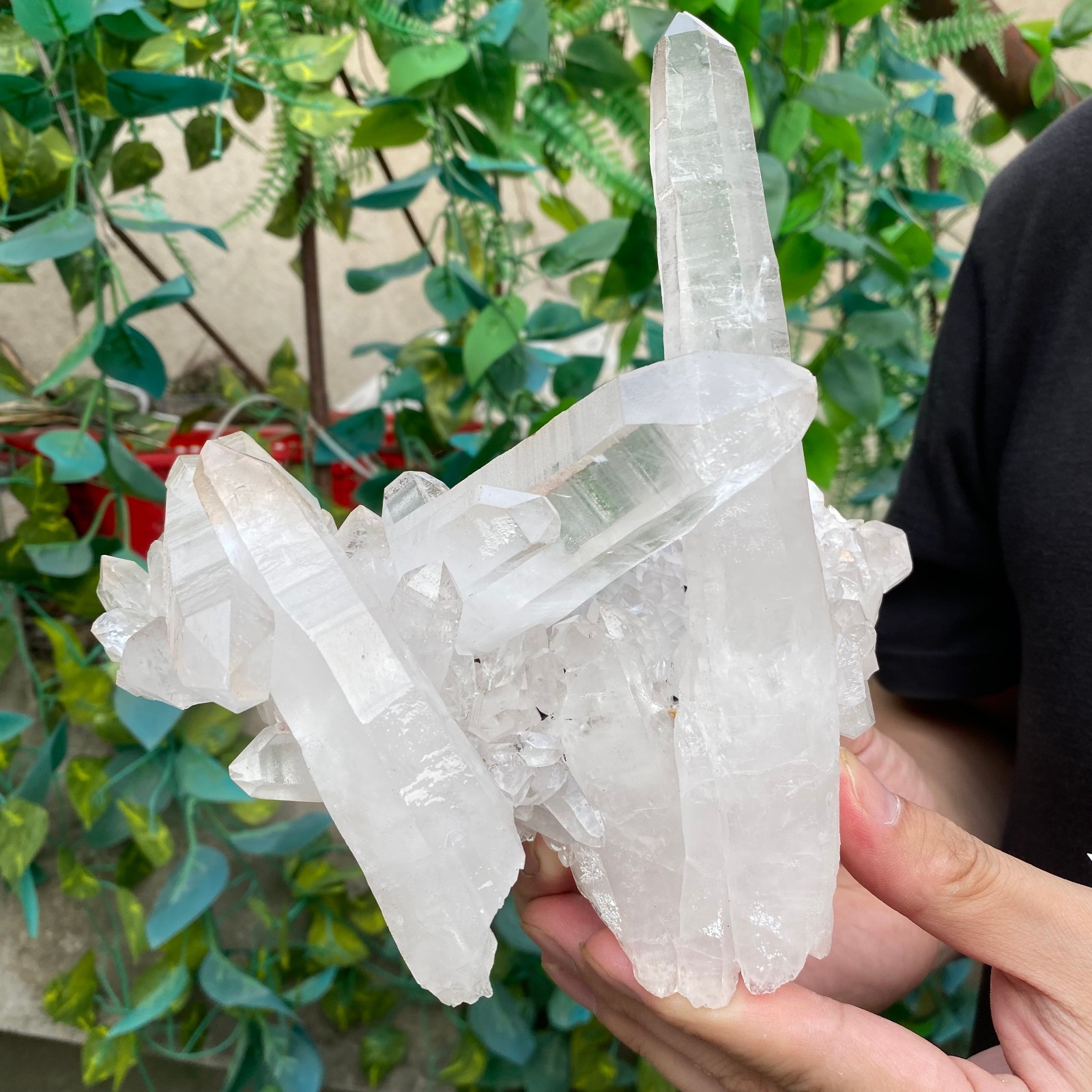 1000G A++Large Natural clear white Crystal Himalayan quartz cluster /mineralsls