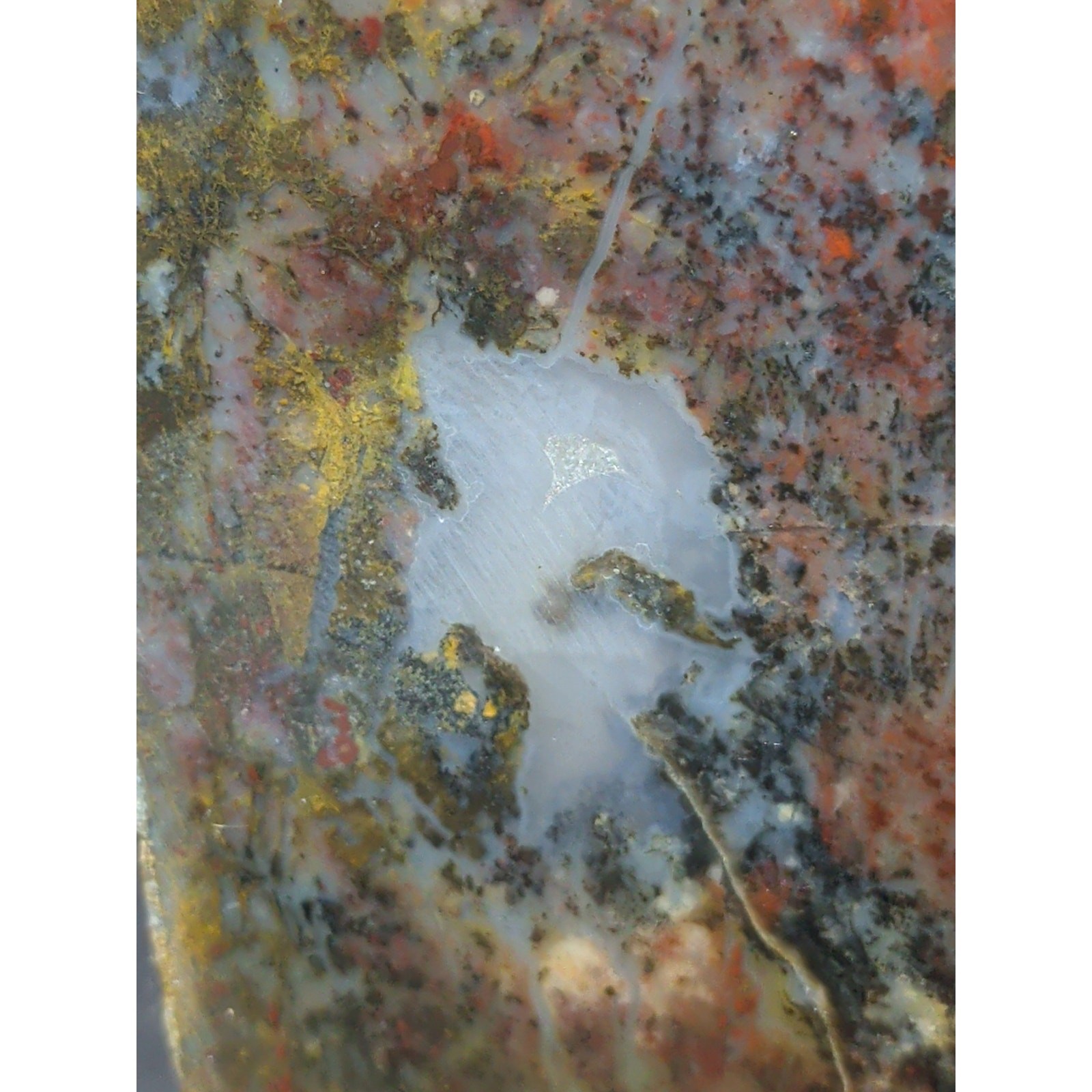 Jasper Dendric Multicolored Polished Slab Specimen (165 Grams)