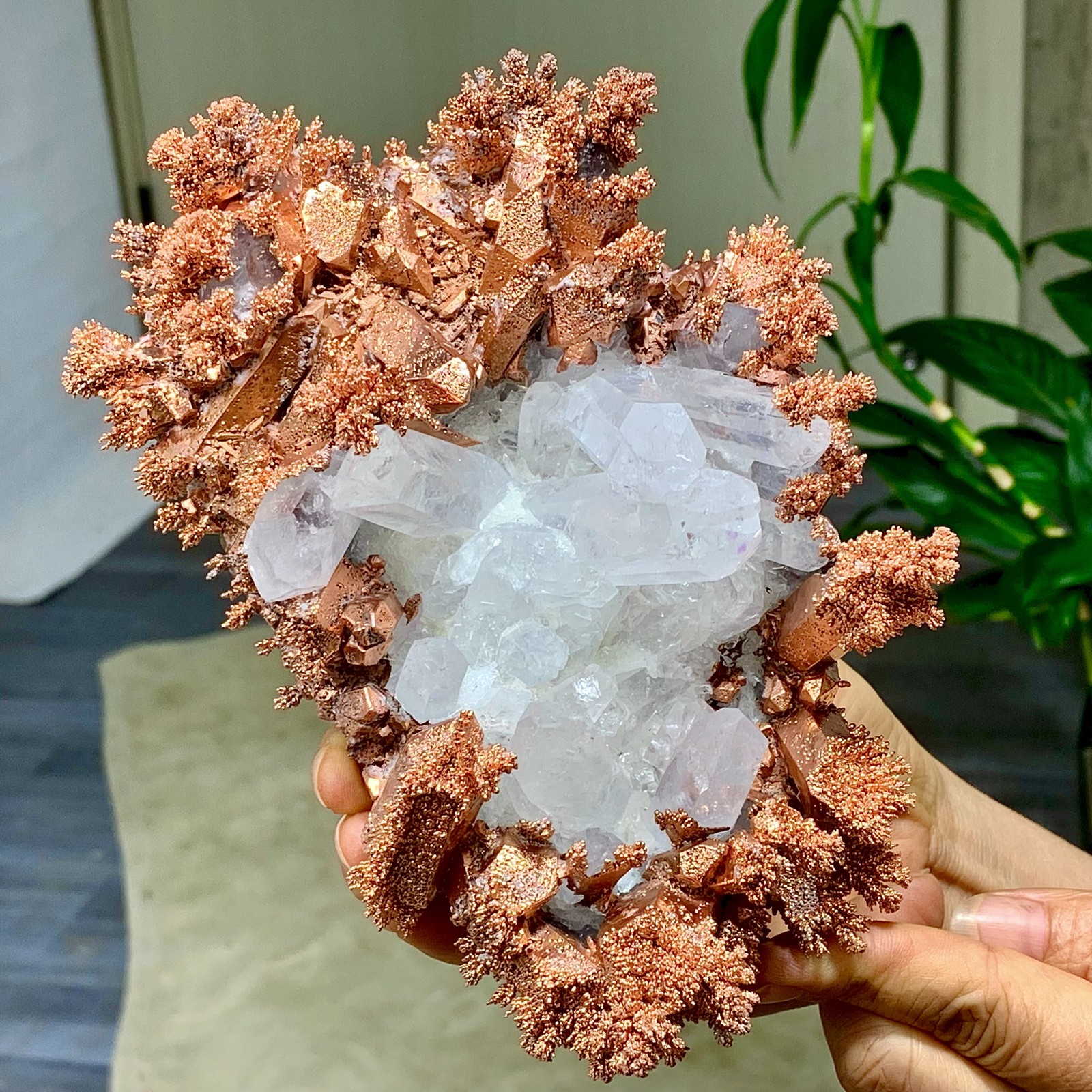 897G Rare!! iridescent Native Copper with white quartz crystal mineral-symbiosis
