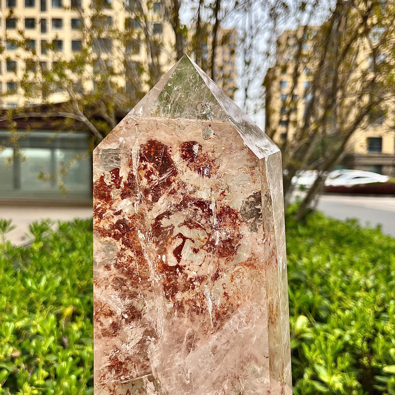 Genuine Clear Quartz Tower Natural Brown Markings Crystal Point Gemstone 11.8 lb