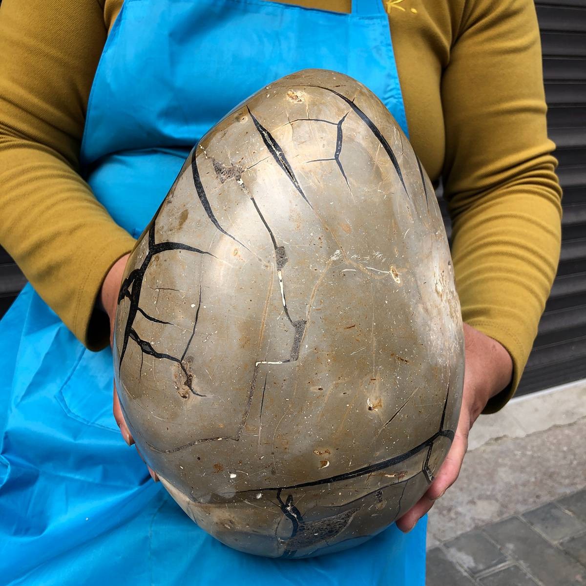 12.3KG Natural Turtle Back Stone Dragon Crystal Cave Crack Gem Healing 4350