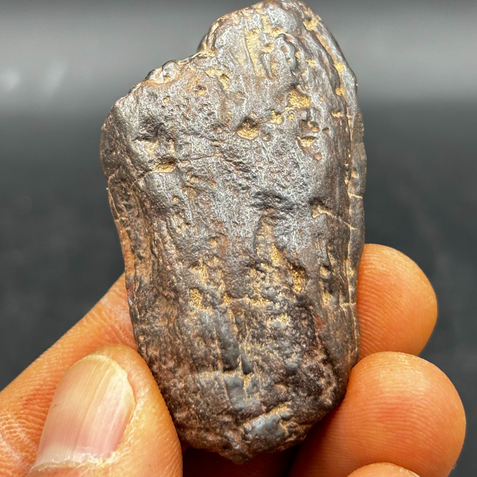 RARE Stony meteorite Natural Meteorite iron BOXHOLE, Australia