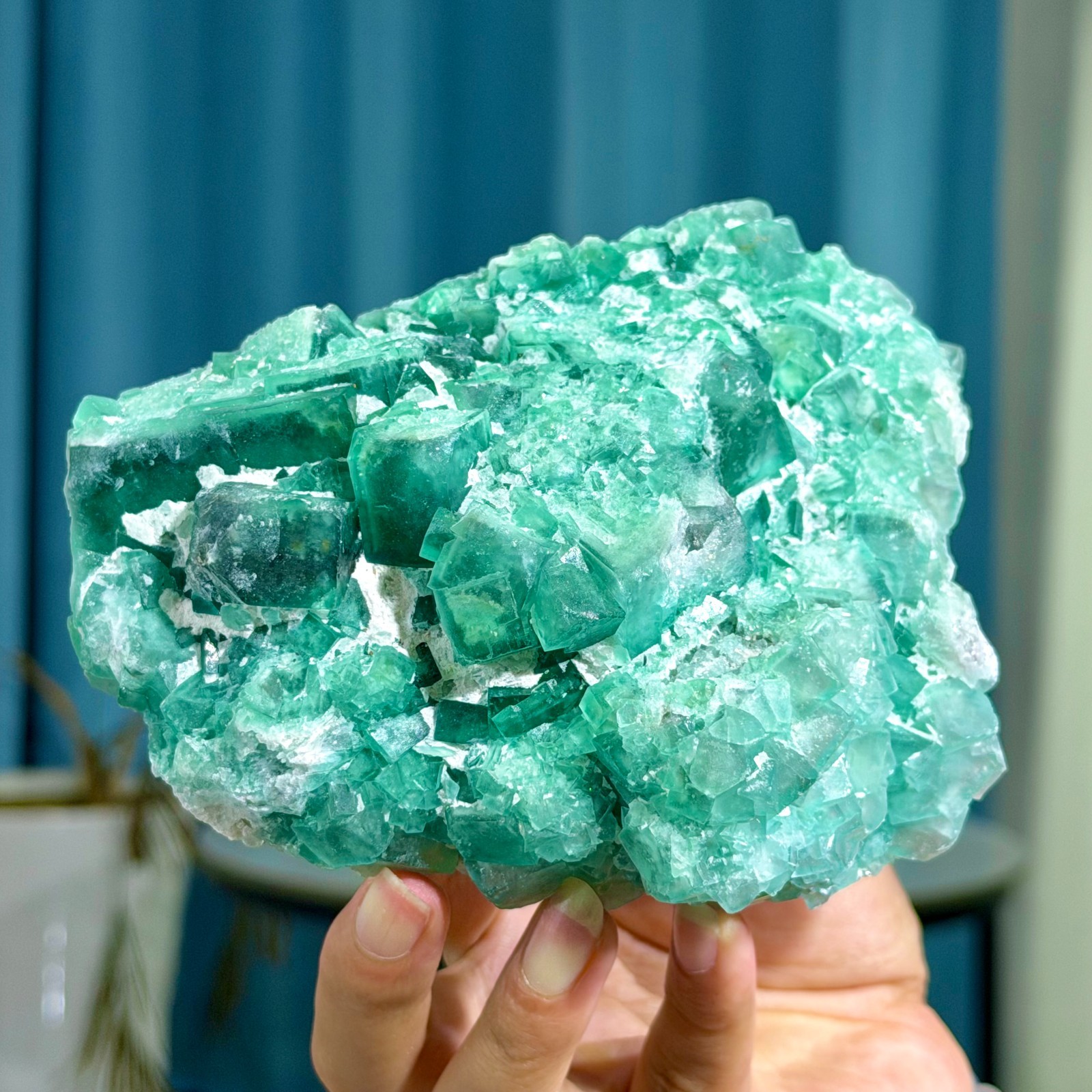 2.22LB Rare transparent green cubic fluorite mineral crystal sample/China