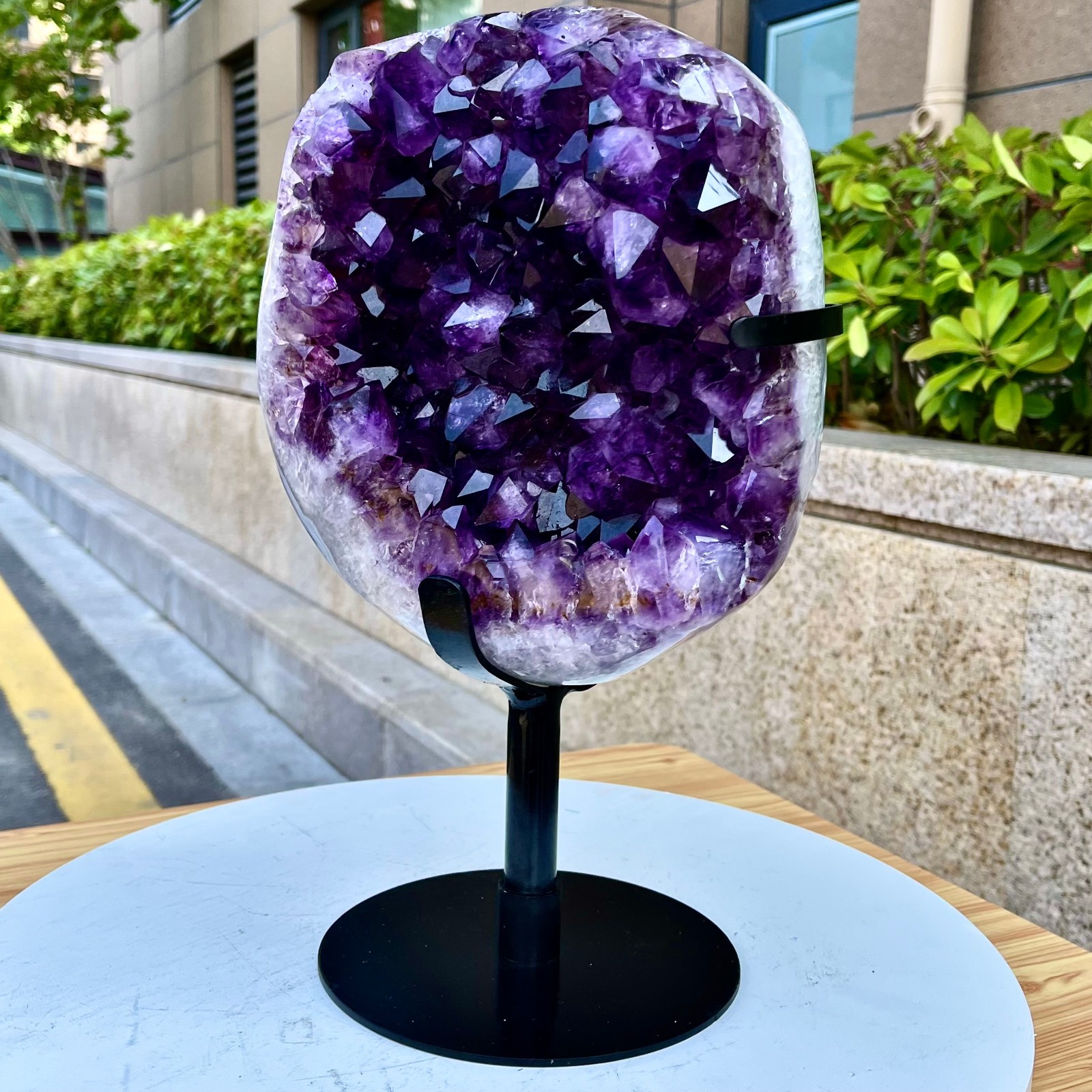 21.71LB Natural Brazilian high-grade amethyst thin skin large teeth