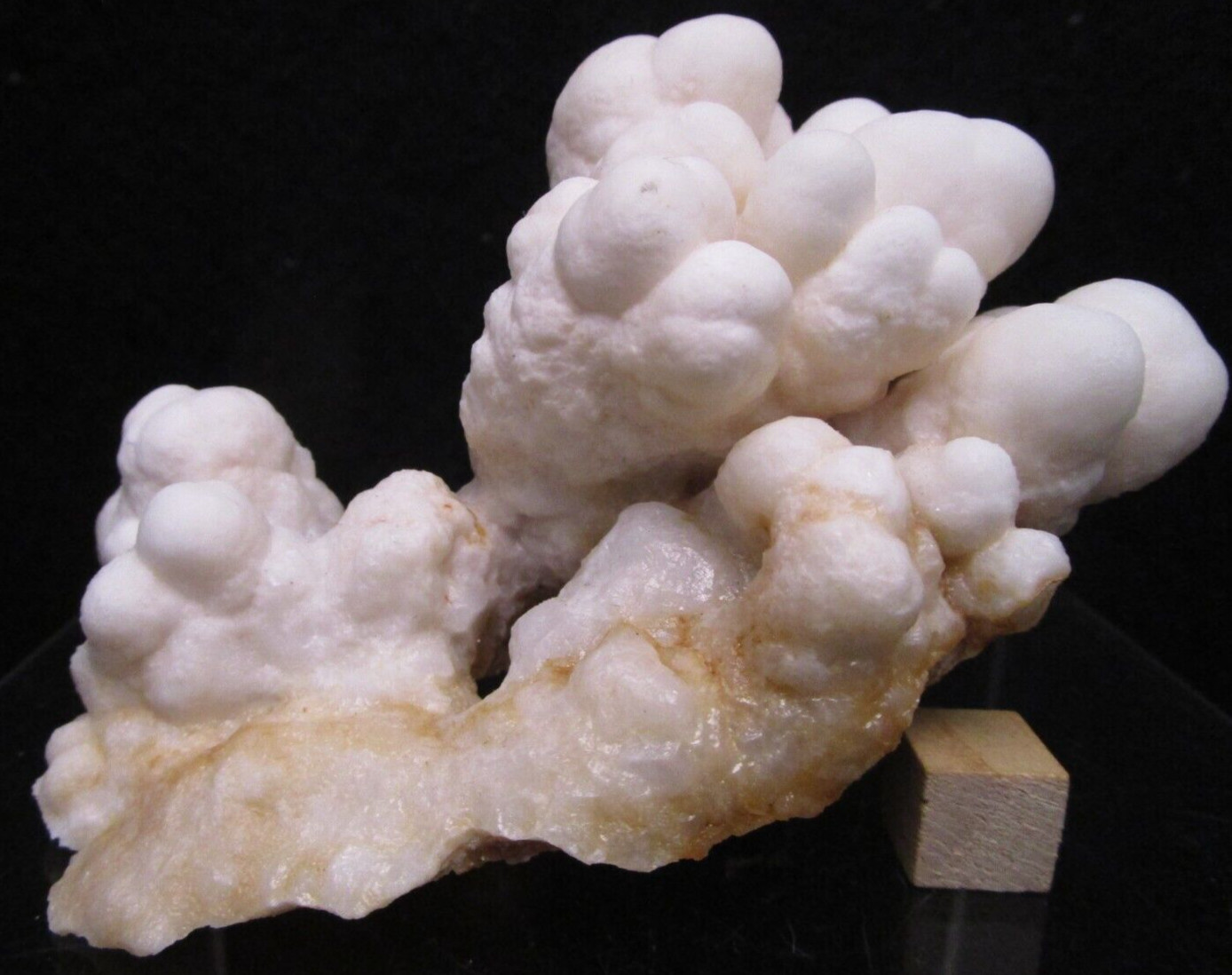 Botryoidal Aragonite Cave Calcite Marshmallow Cloud Crystal Specimen Morocco