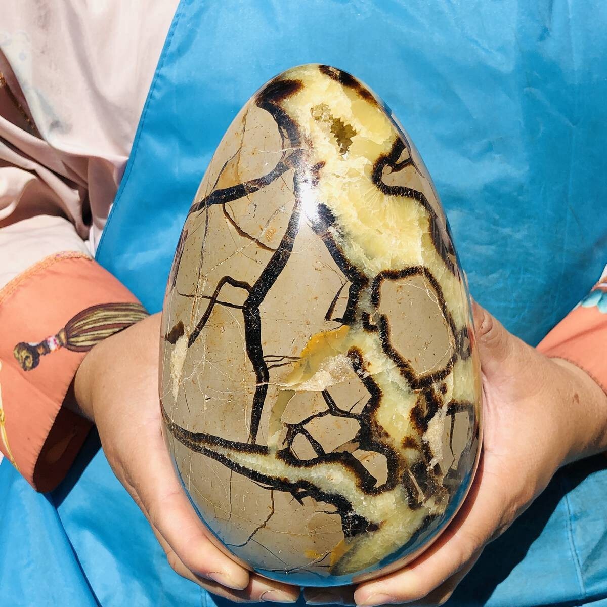 3390G natural turtle shell stone egg spiritual healing KH2124