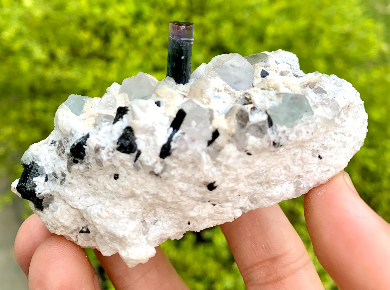 192 GM Multi Color Tourmaline With Quartz & Topaz From Chamachu Mine Shengus Rhu