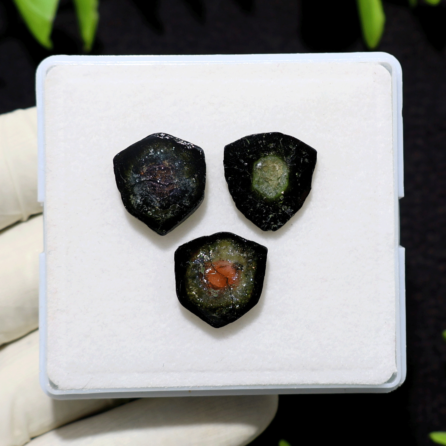 Windows Into Living Earth~ 3 PC Natural Watermelon Tourmaline Gem Crystal Slices