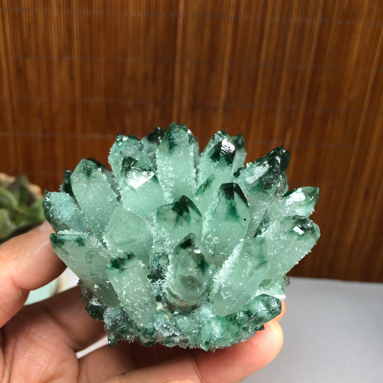 New Find Green Phantom Quartz Crystal Cluster Mineral Specimen 224g A1491