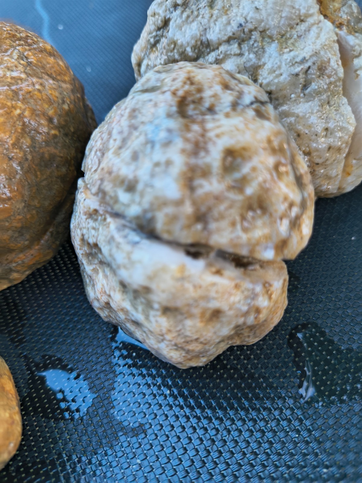 3 LB Kentucky KY Geodes Pre-Scored Crack Your Own Set 4 Piece Lot Hand Collected