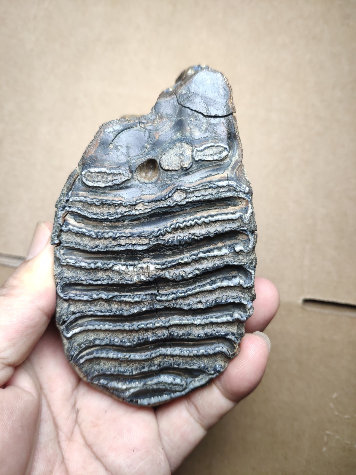 480g Beautiful Clear texture landscape stone