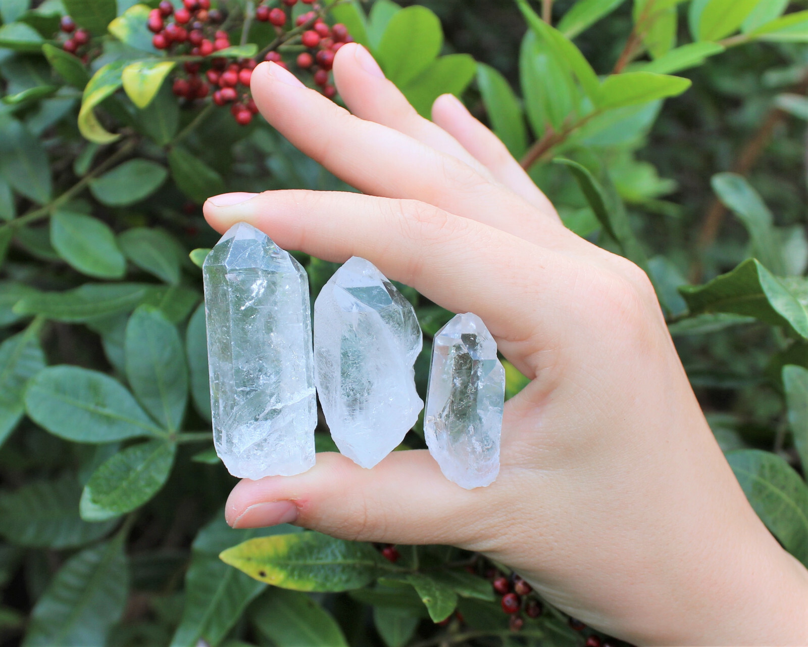 50g Lot Natural Clear Quartz Crystal Points Wand, Healing Crystals (250 Carat)