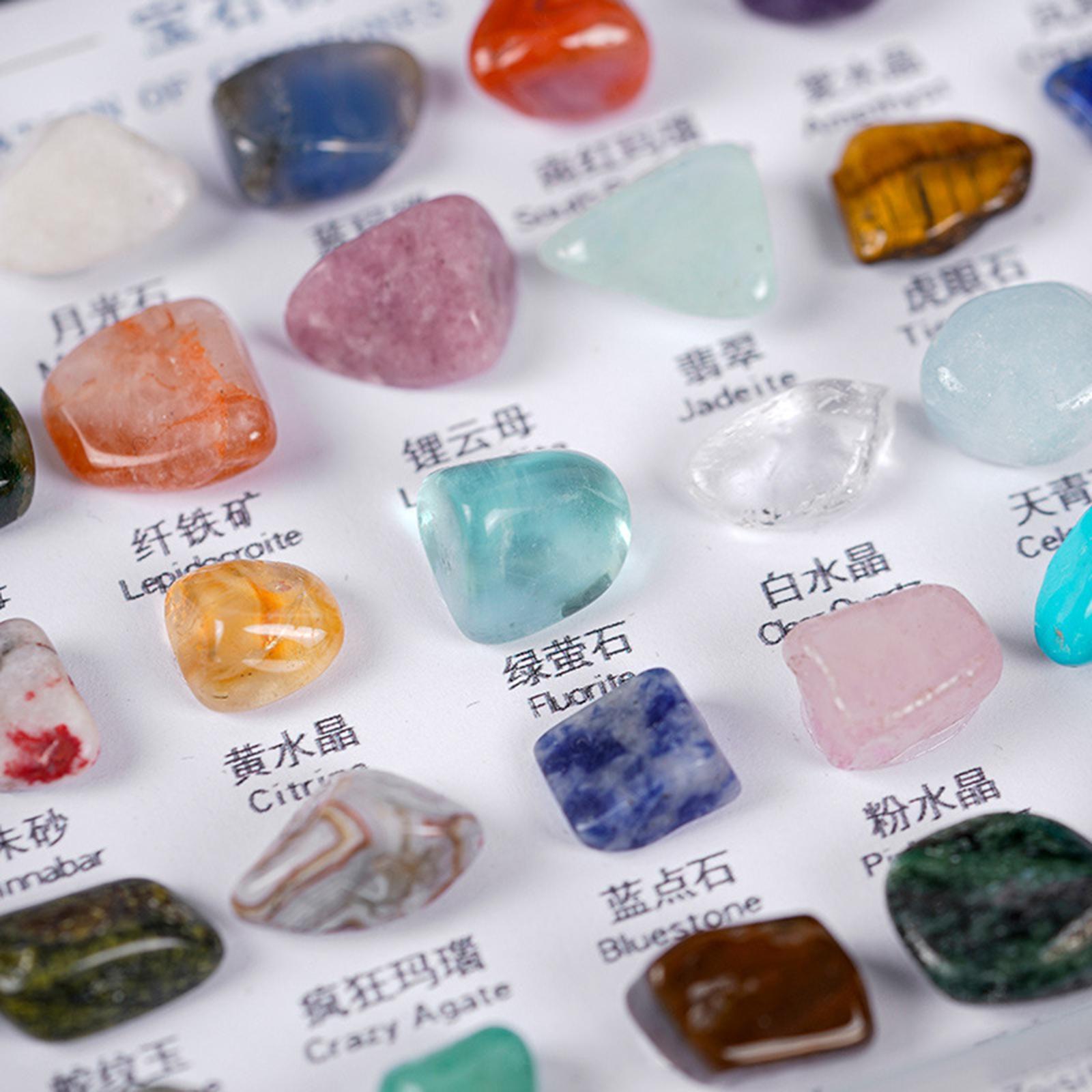 50 Pieces Rocks Collection for Kids Mineral Stones for Display Indoor Craft