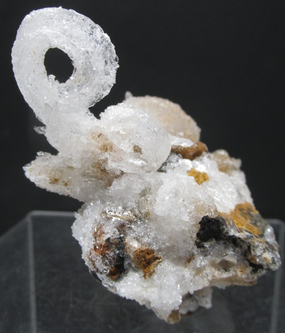 Awsome Frozen Kraken Ram’s Horn Selenite Mineral Specimen Morocco
