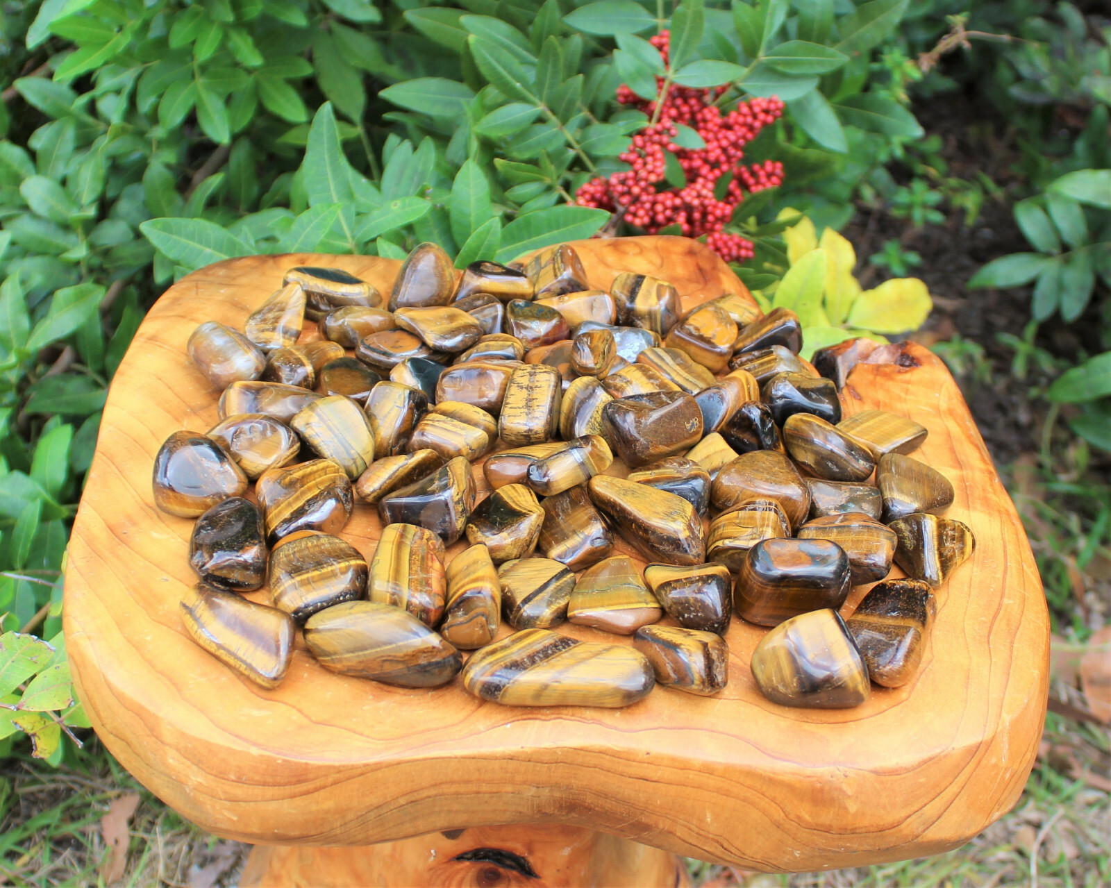 2 lb Bulk Lot Gold Tiger Eye Tumbled Stone: (Tumble Crystal Healing Reiki)
