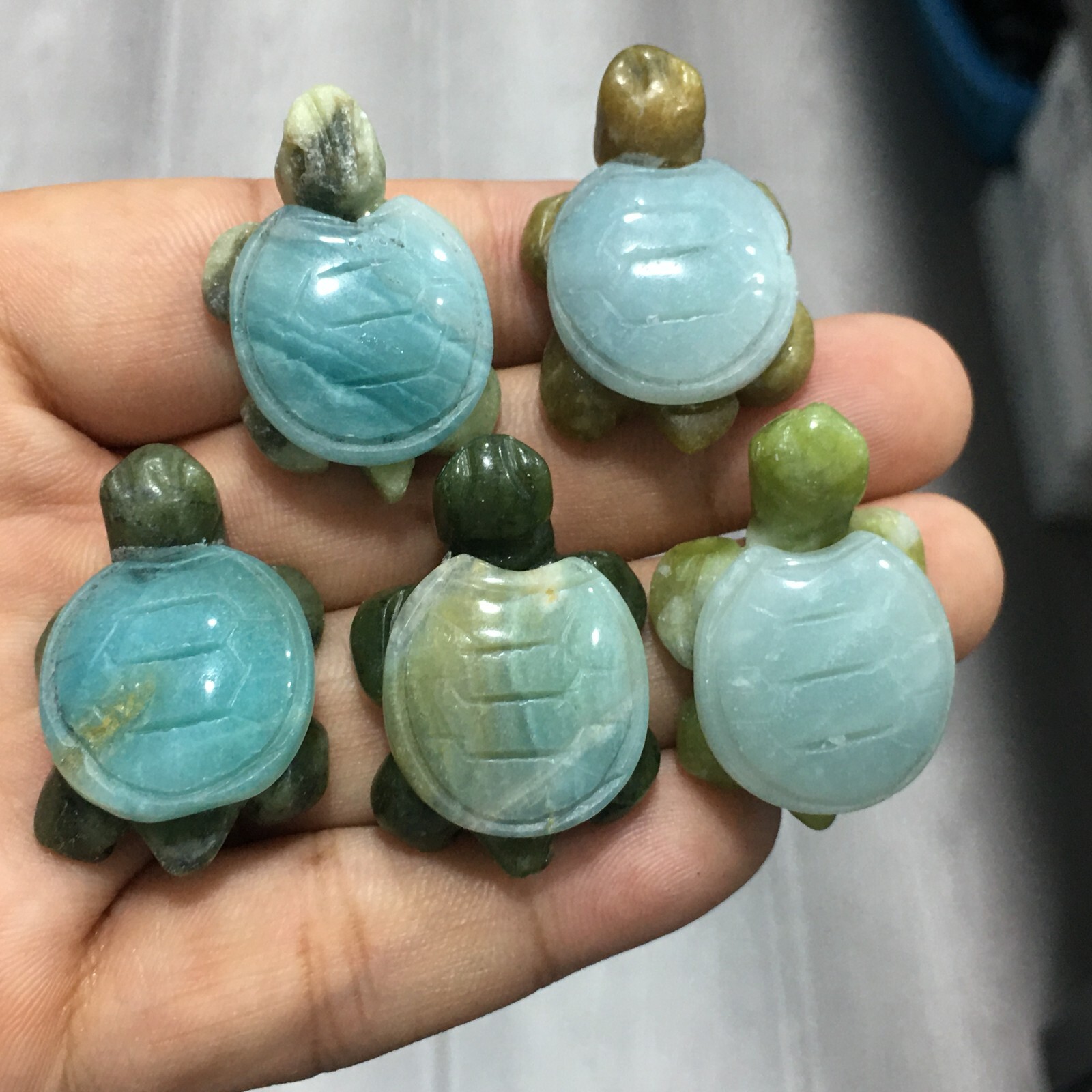 5pcs Natural amazonite quartz Crystal Sea turtle Carved Skull Reiki healing