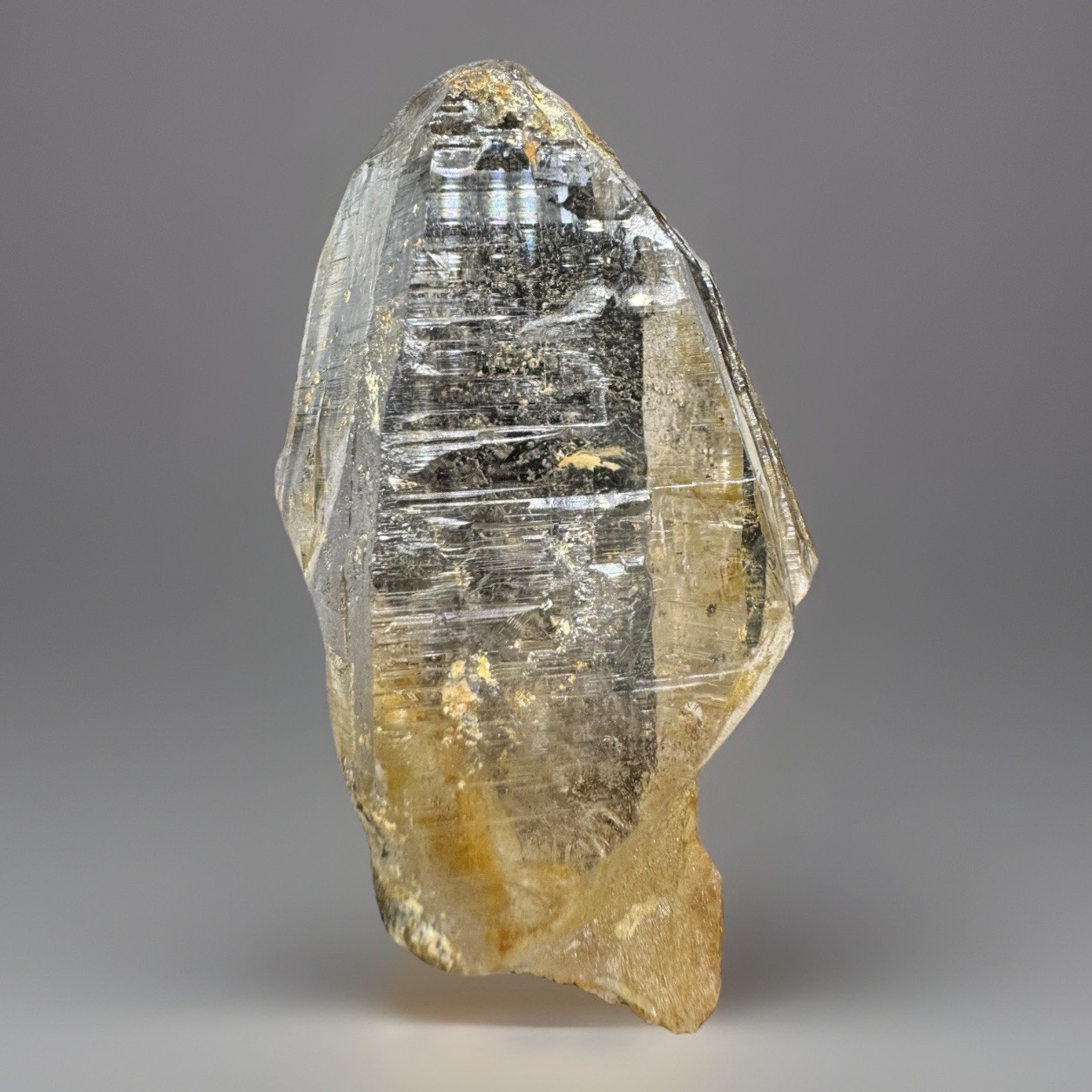 “Golden Comet” Ganesh Himalayan Quartz Secondary Growth Iron Oxide Nepal Crystal