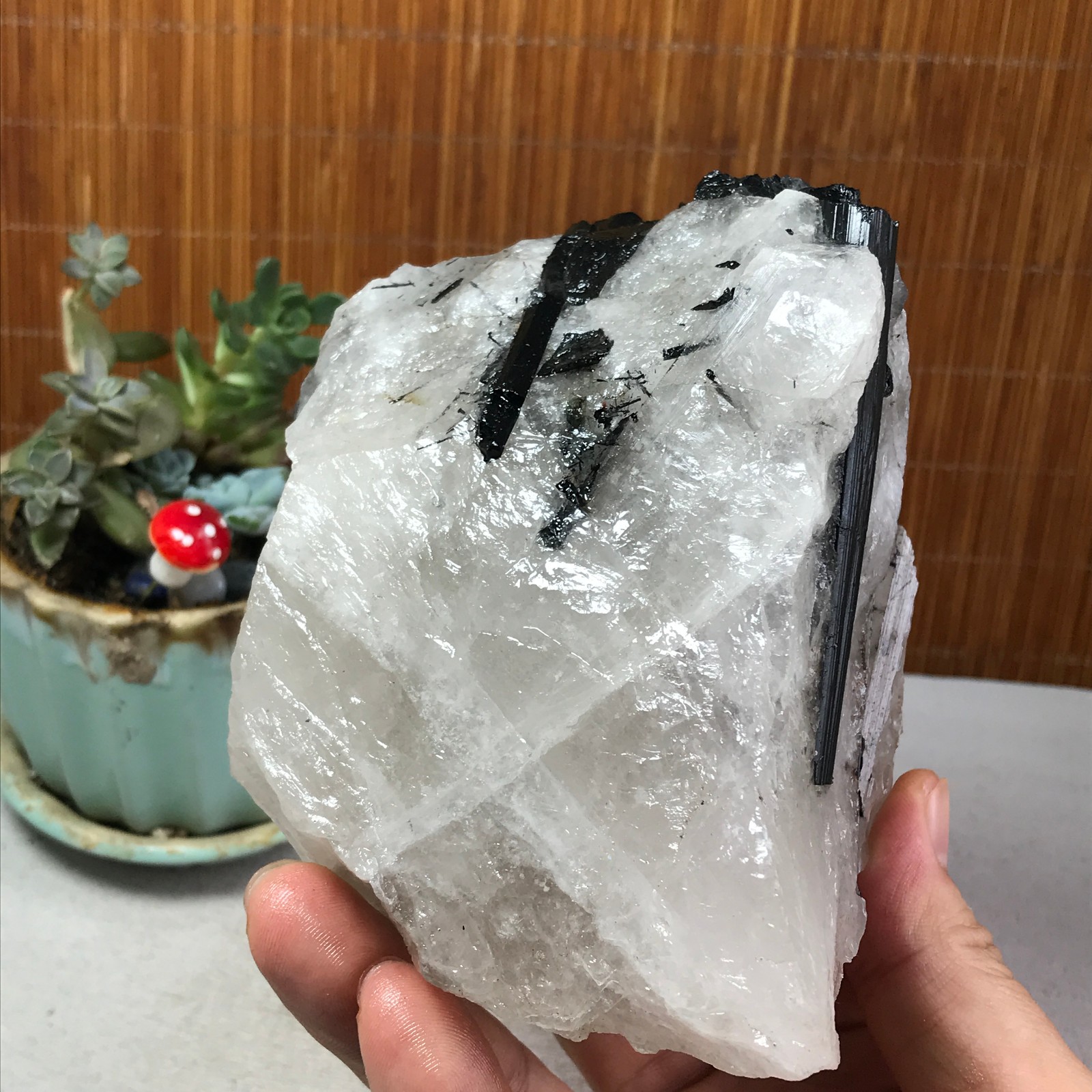1.22kg Natural Beautiful Black tourmaline Quartz specimen Crystal Healing A6278