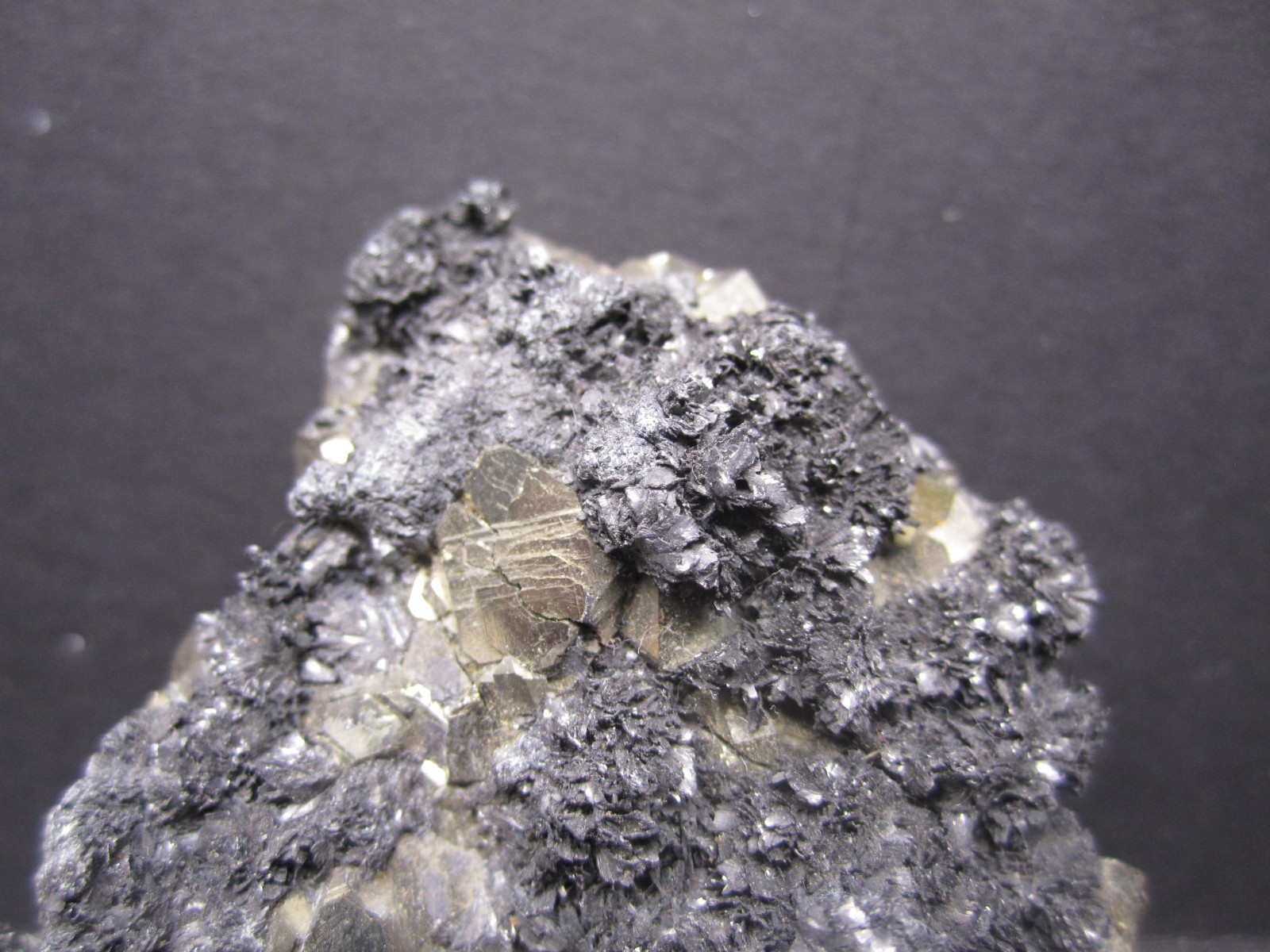 Franckeite on Pyrite, San Jose Mine, Bolivia #3