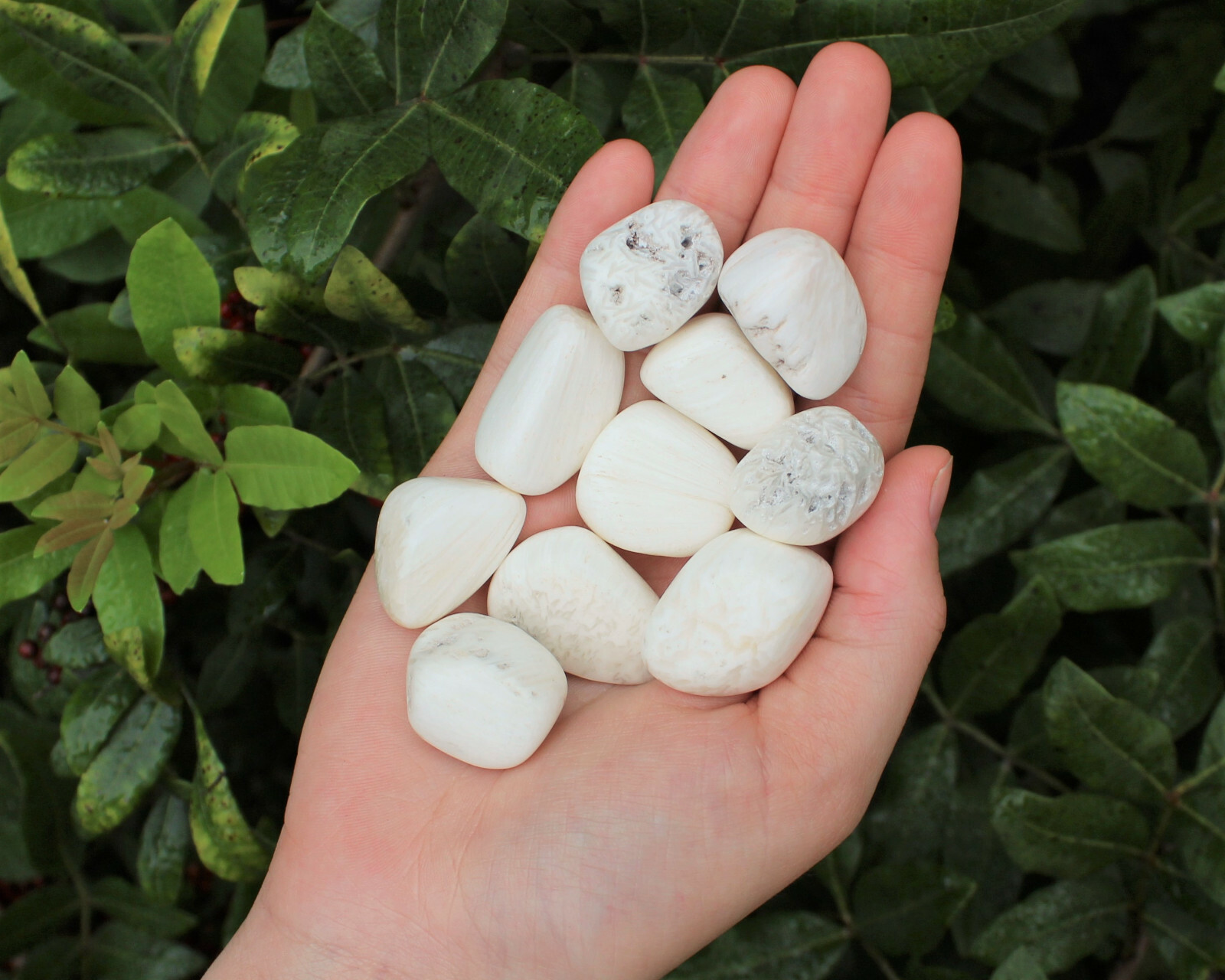 1/2 lb Scolecite Tumbled Stones (Crystal Healing Gemstone, Crystal) 8 oz
