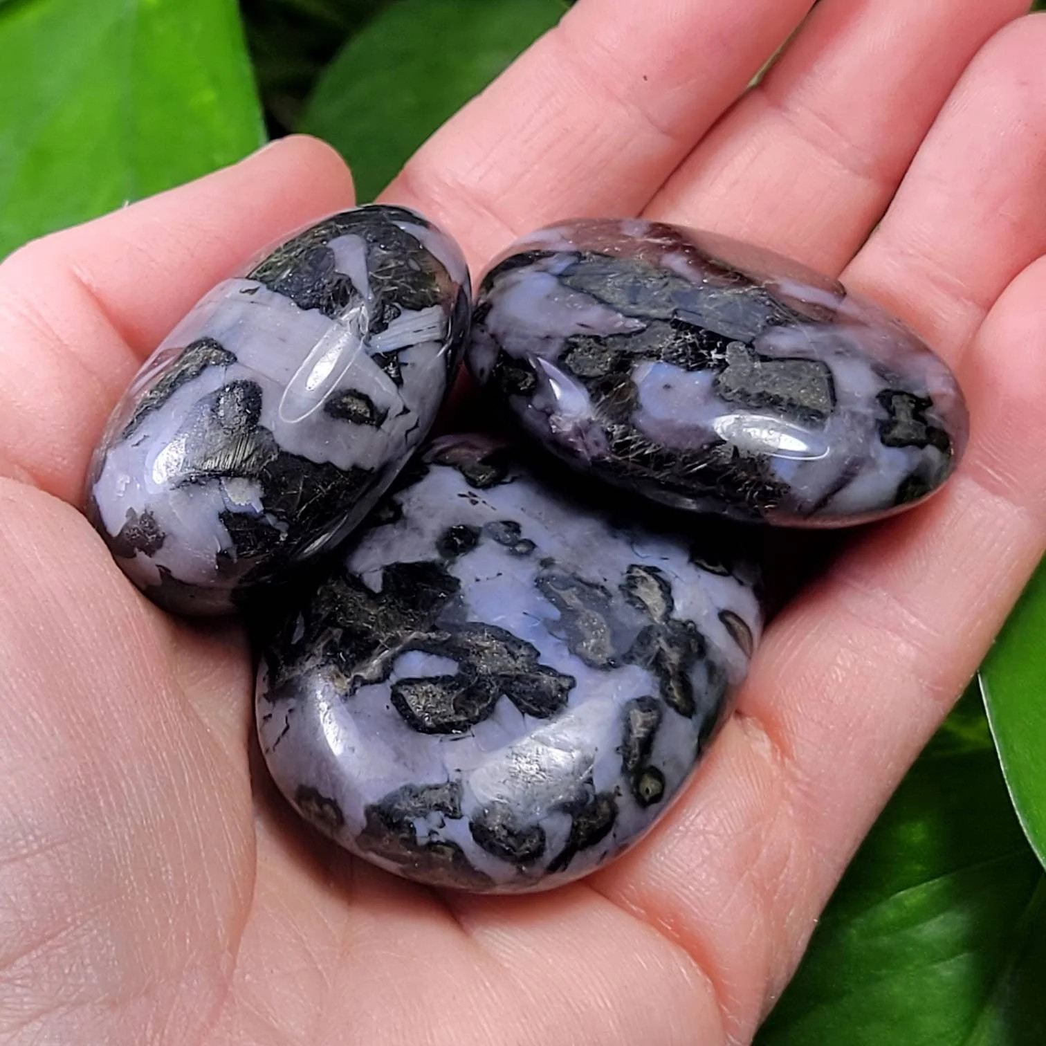 Indigo Gabbro Palm Stone