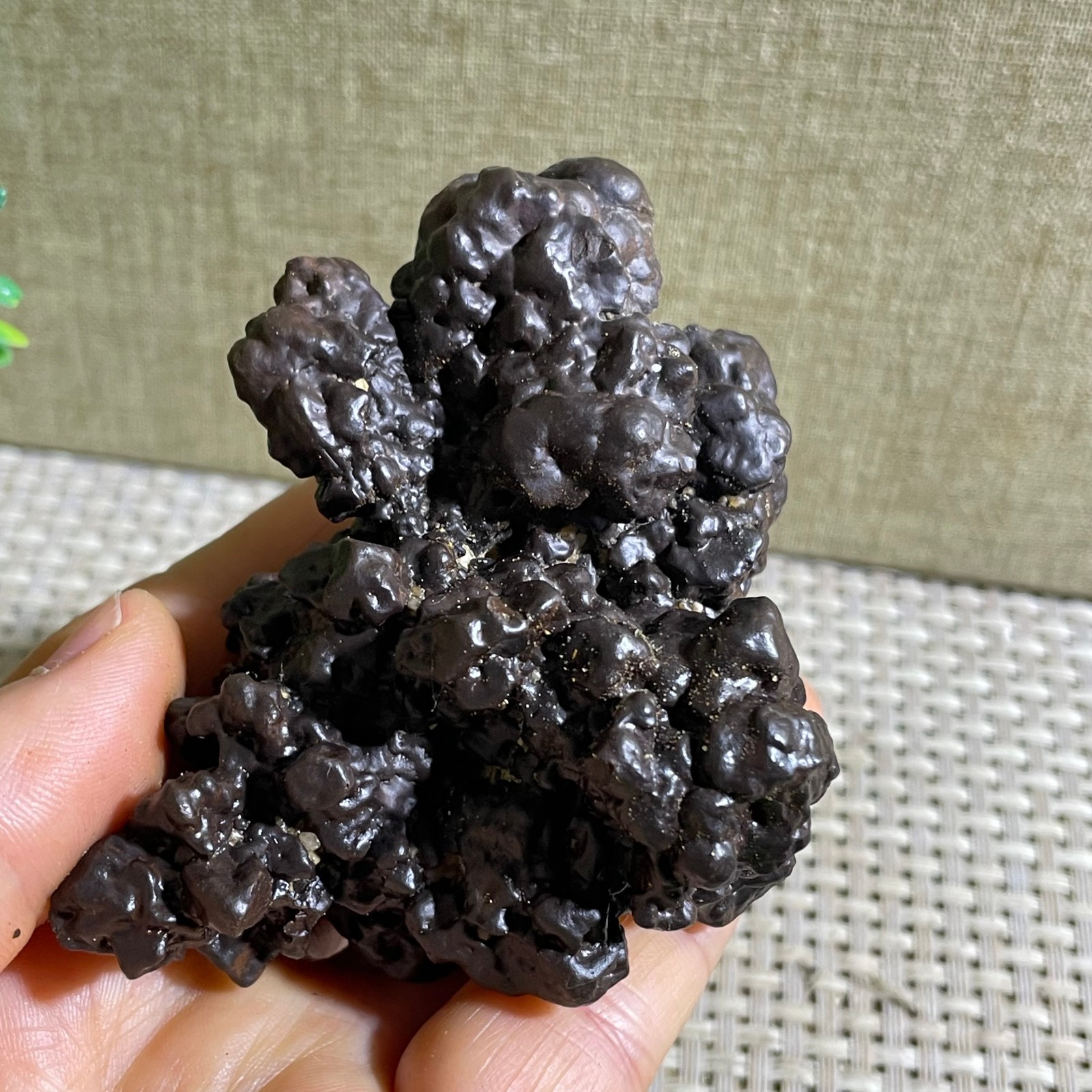 228g Limonite & Hematite pseudomorph after Marcasite Prophecy Rock Stone