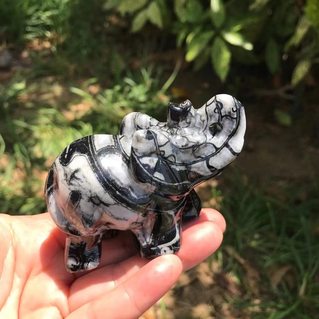 Natural Elephant 🐘 (Shell stone) quartz crystal Random 1PC