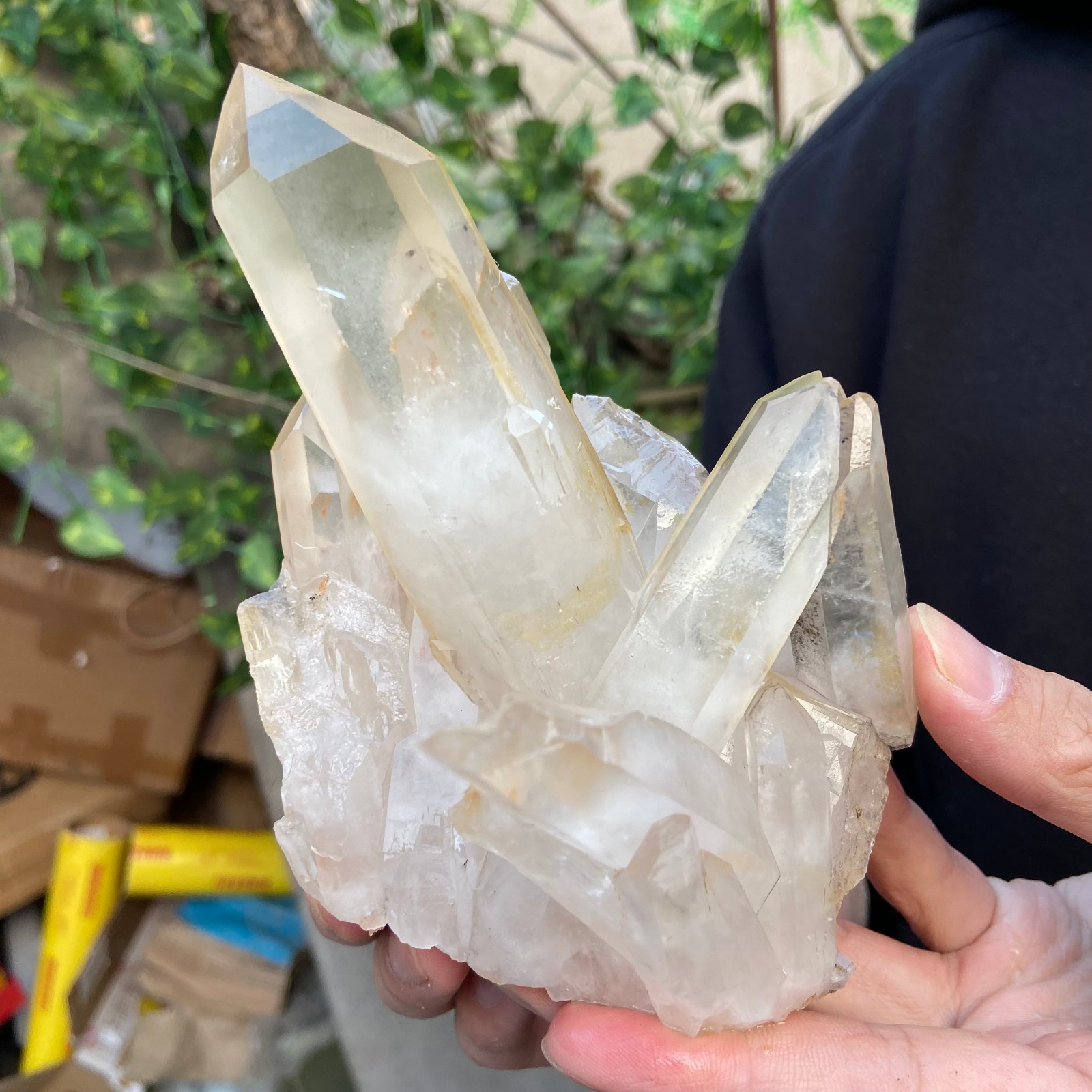 1.5lb Natural Clear White Quartz Crystal Cluster Rough Healing Specimen
