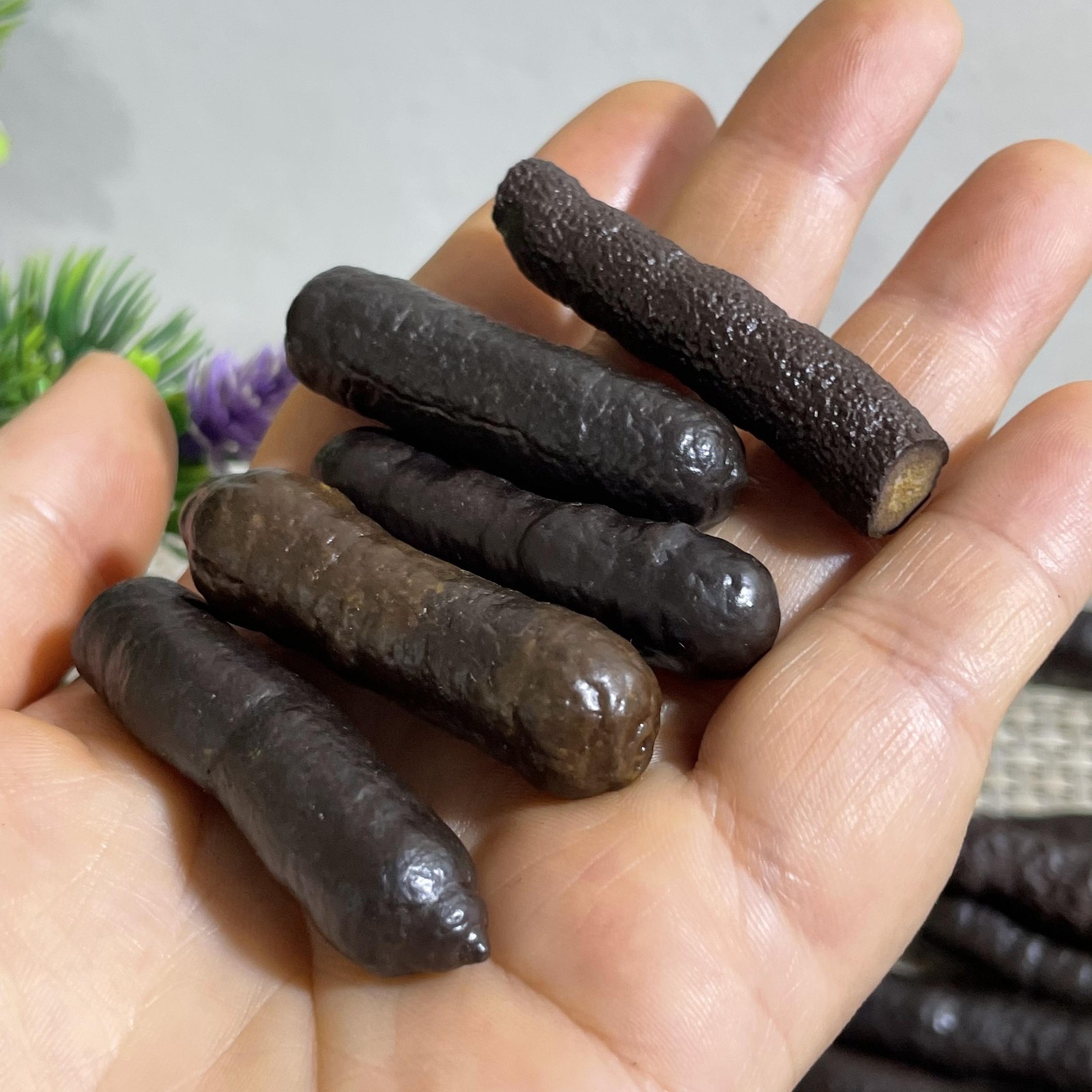 5pcs 81g Limonite & Hematite pseudomorph after Marcasite Prophecy Rock Stone