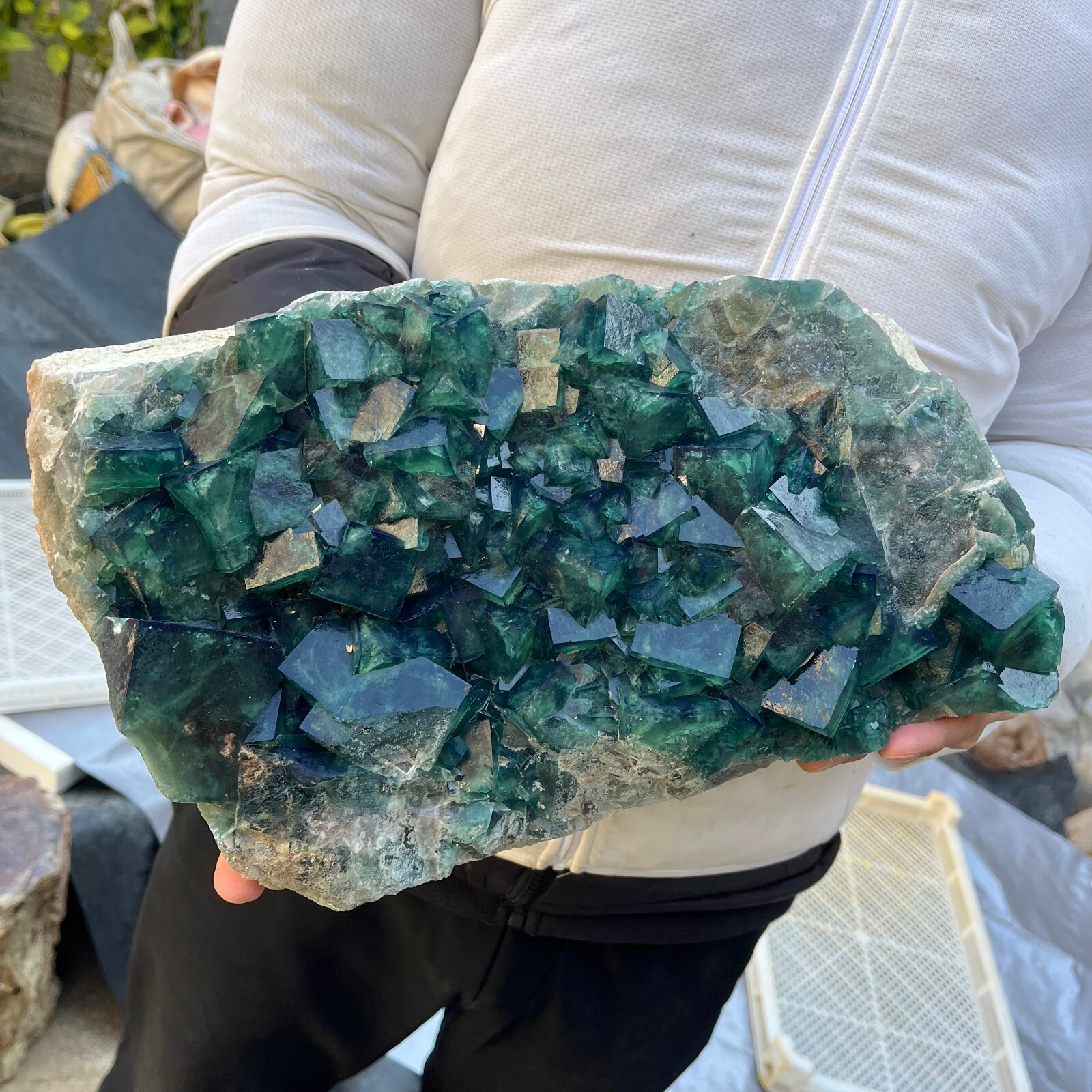 22lb Large Natural green cubic fluorite quartz crystal cluster mineral specimen