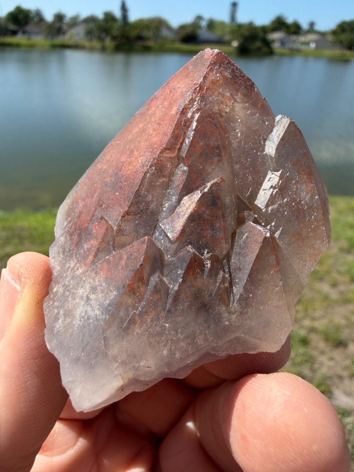 Auralite 23 Crystal Multi record keepers and Phantom from Canada 106 grams 2.25″