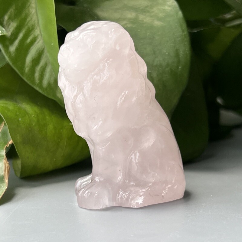1PC Natural Rose quartz Lion Skull Quartz Crystal Skull Figurines 2.4″ Random