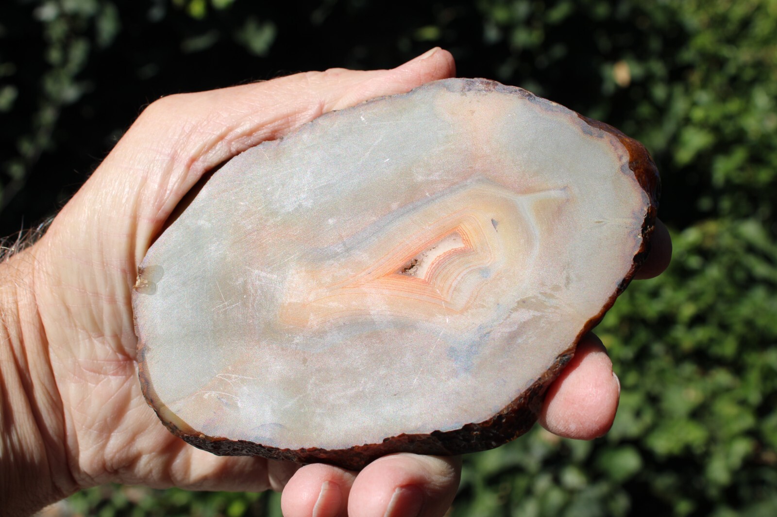 Natural 5” Geode Slice Amber Orange Brown Tones Agate 3/4” Thick-401 grams