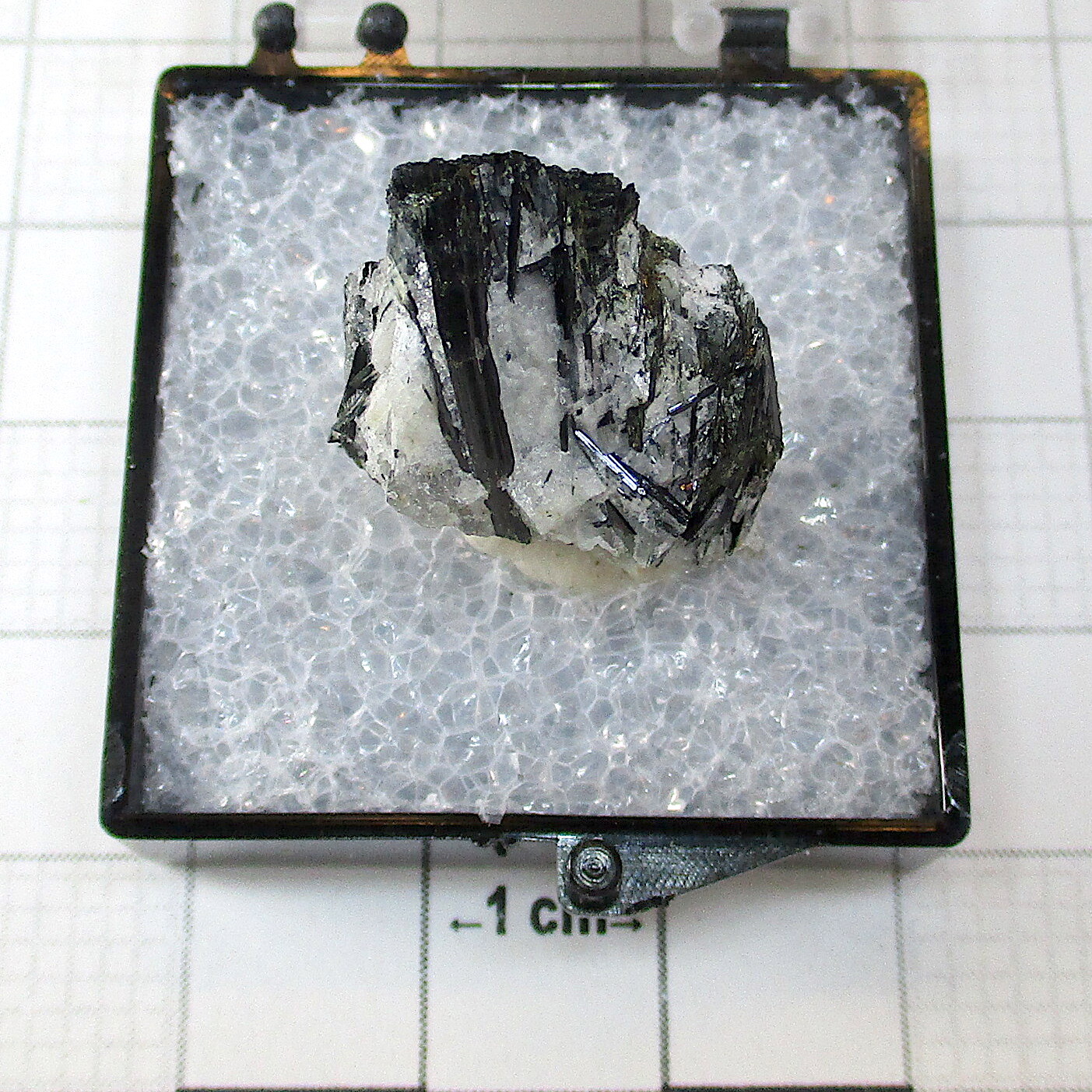 04873 TN Aegirine Kirovskii Apatite Mine Khibiny Russian Federation 2685