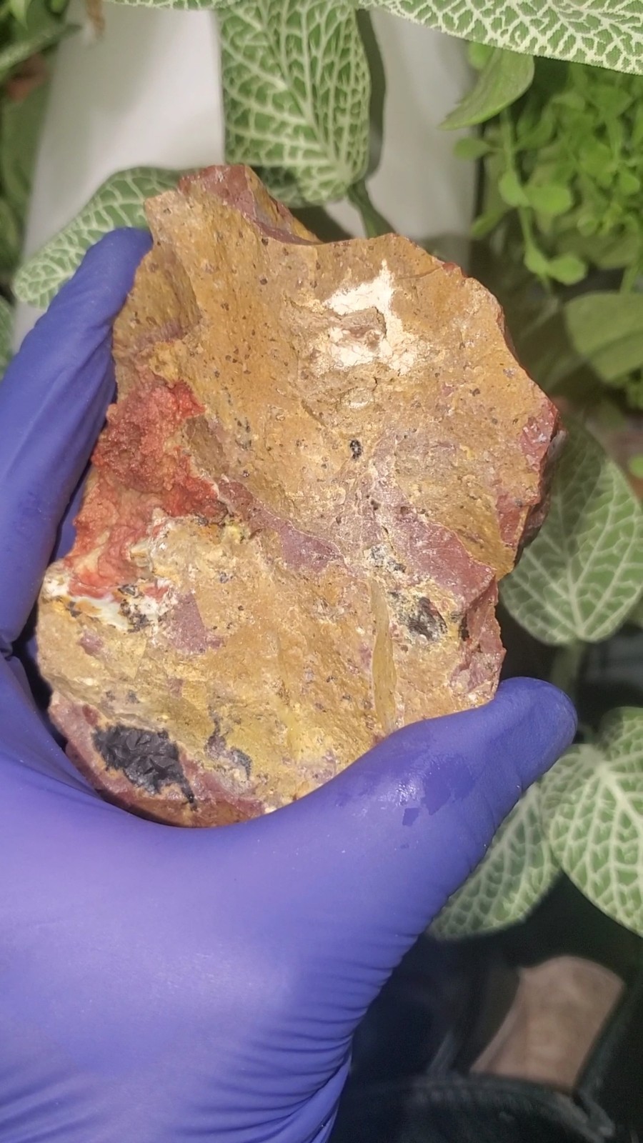 Volcanic red agate , Warring state agate Mexico 332g