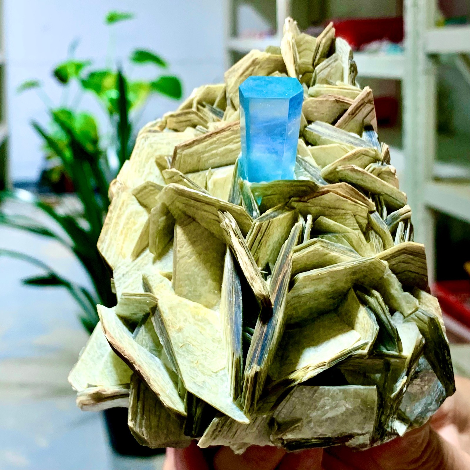2.24LB Natural Aquamarine Mica paragenesis Crystal Specimen Museum level