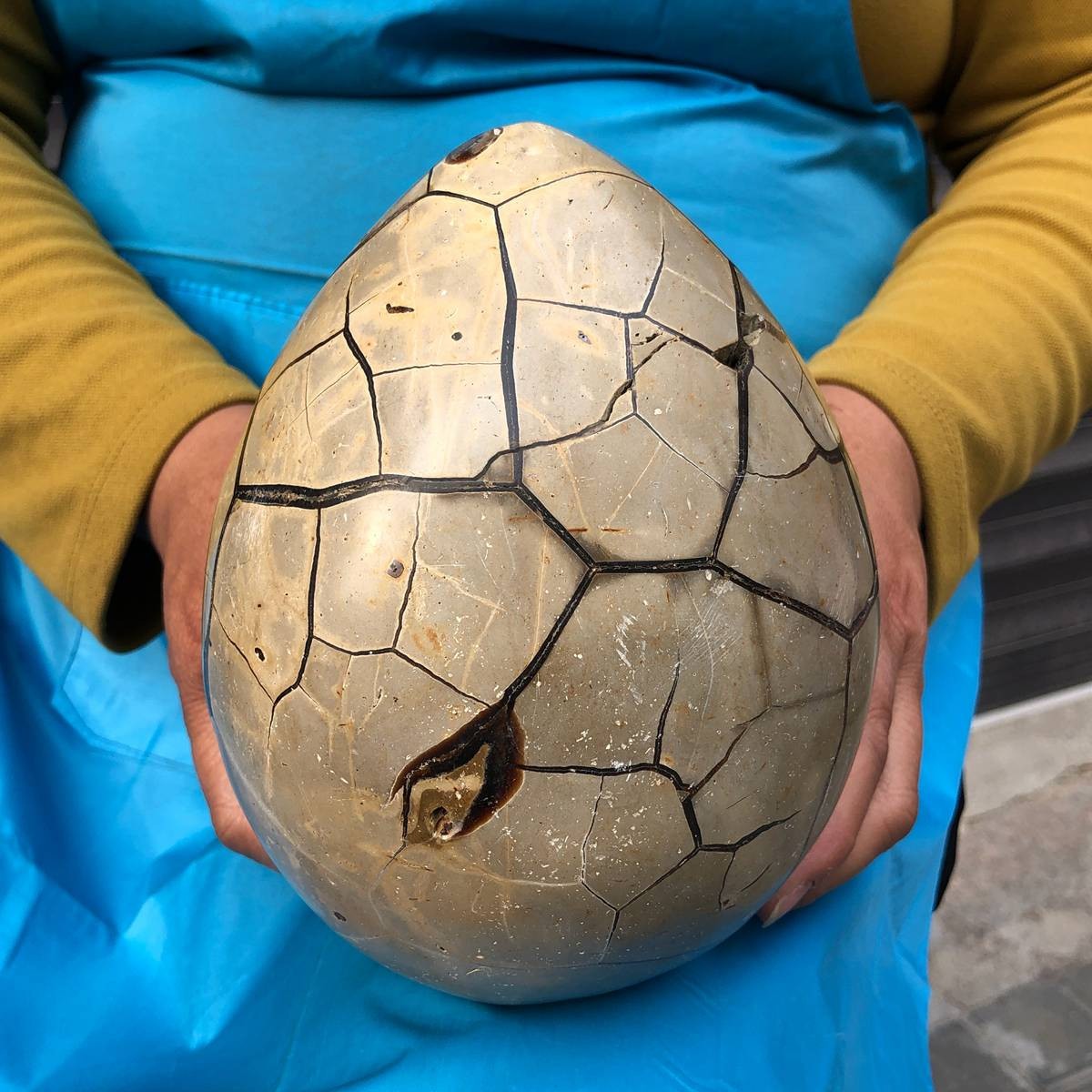 3860G Natural Turtle Back Stone Dragon Crystal Cave Crack Gem Healing 4354