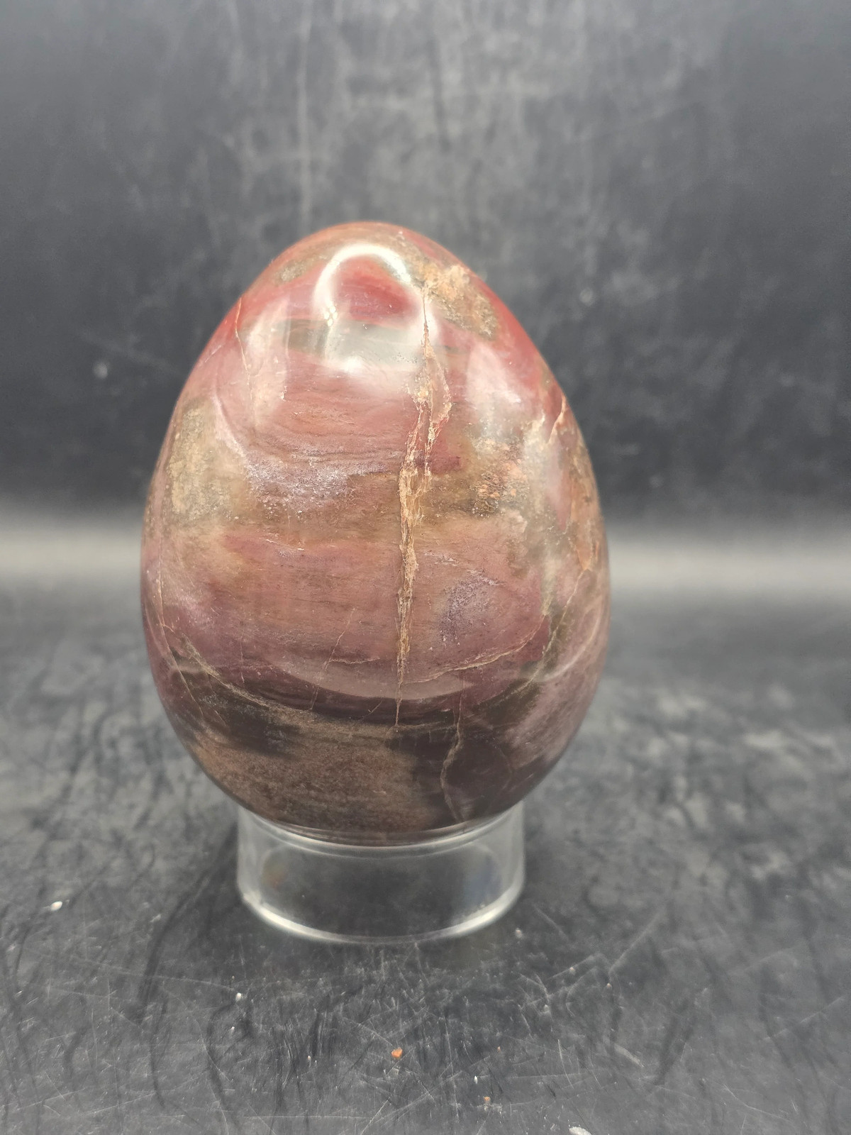 Petrified wood egg! 1.4 pounds! 3.5 inches tall, 2.7″ wide