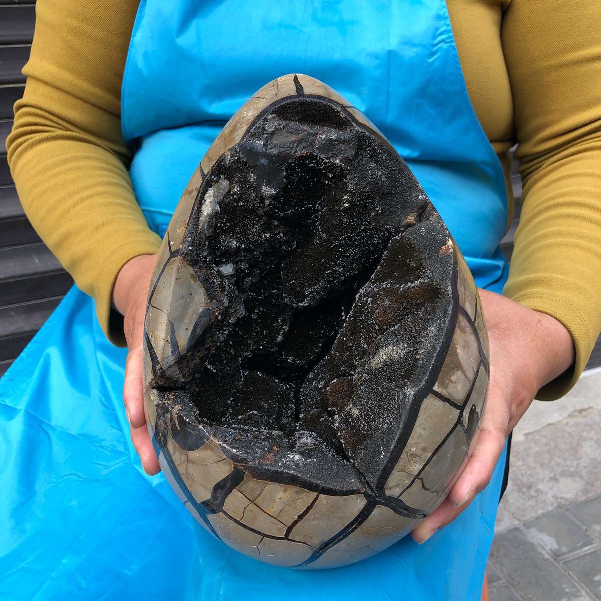 8250G Natural Turtle Back Stone Dragon Crystal Cave Crack Gem Healing 4348