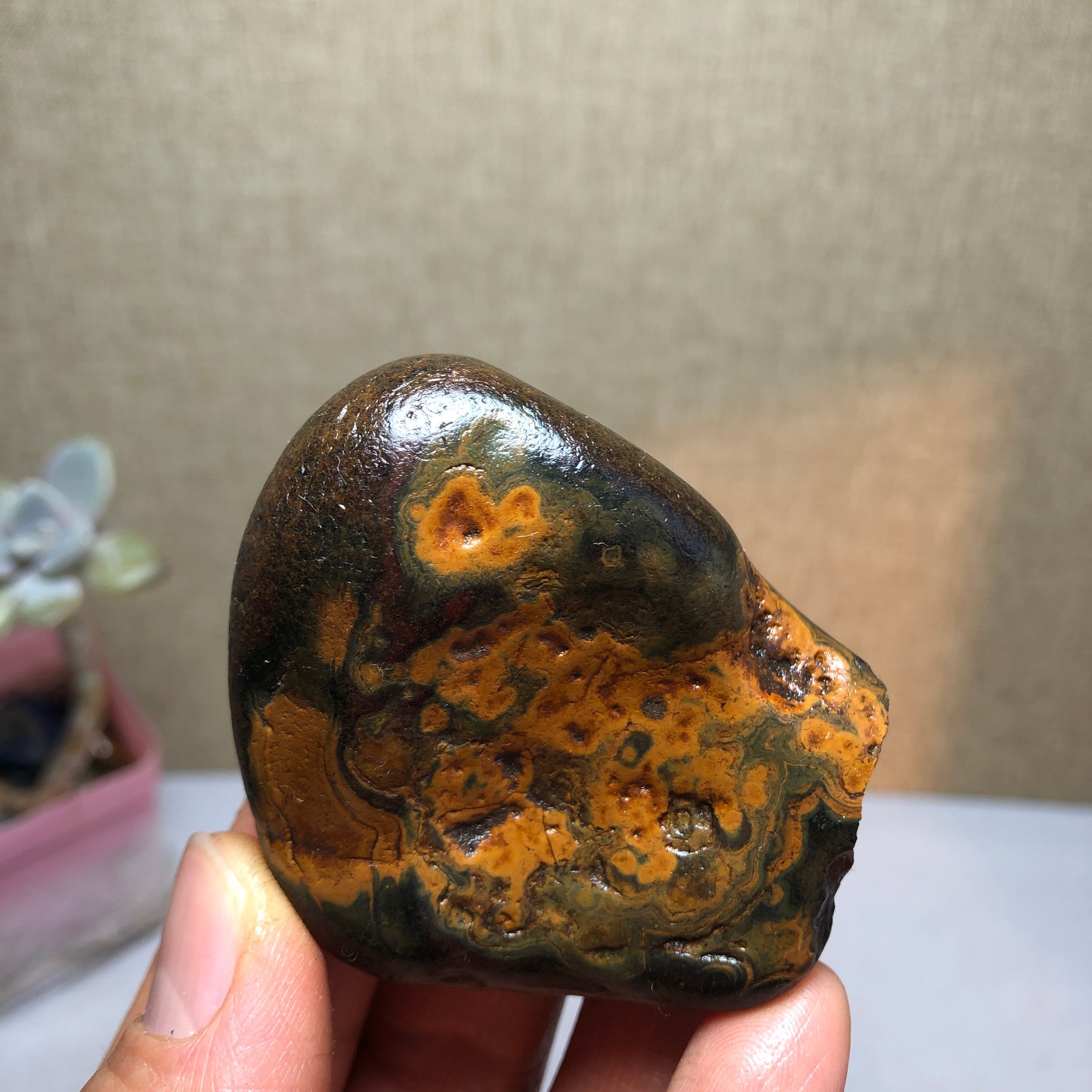 69g natural Bonsai Suiseki Gobi Agate Eyes Stone-Stunning original View A2549