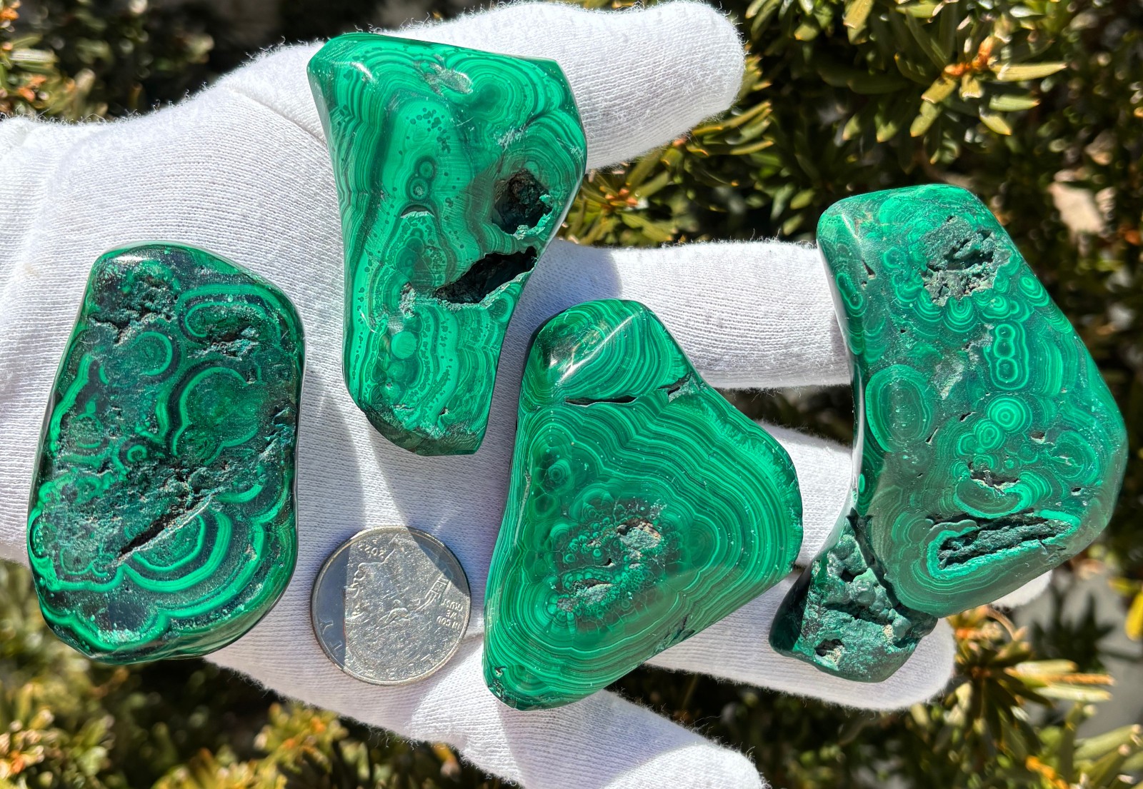 USA SALE 402g LOT MALACHITE POLISHED XL TUMBLE PALMSTONE SIZE PALM STONE STONES