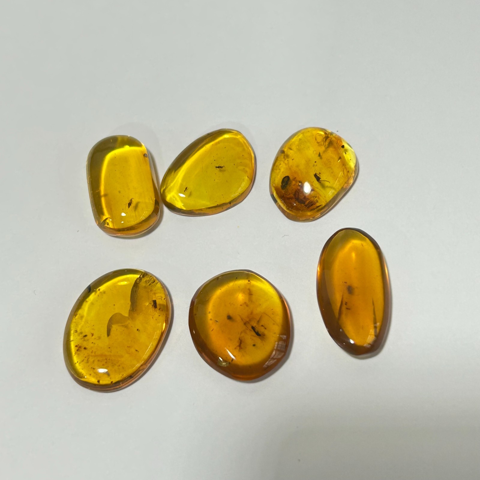 6PCS MINI GENUINE Fossil Insect Inclusion in Burmese amber BALTIC AMBER