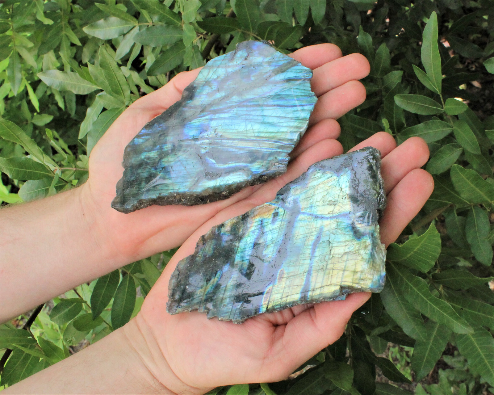 1 lb Wholesale Lots Natural Labradorite Slab / Slice Polished Face 8 – 14 Peices