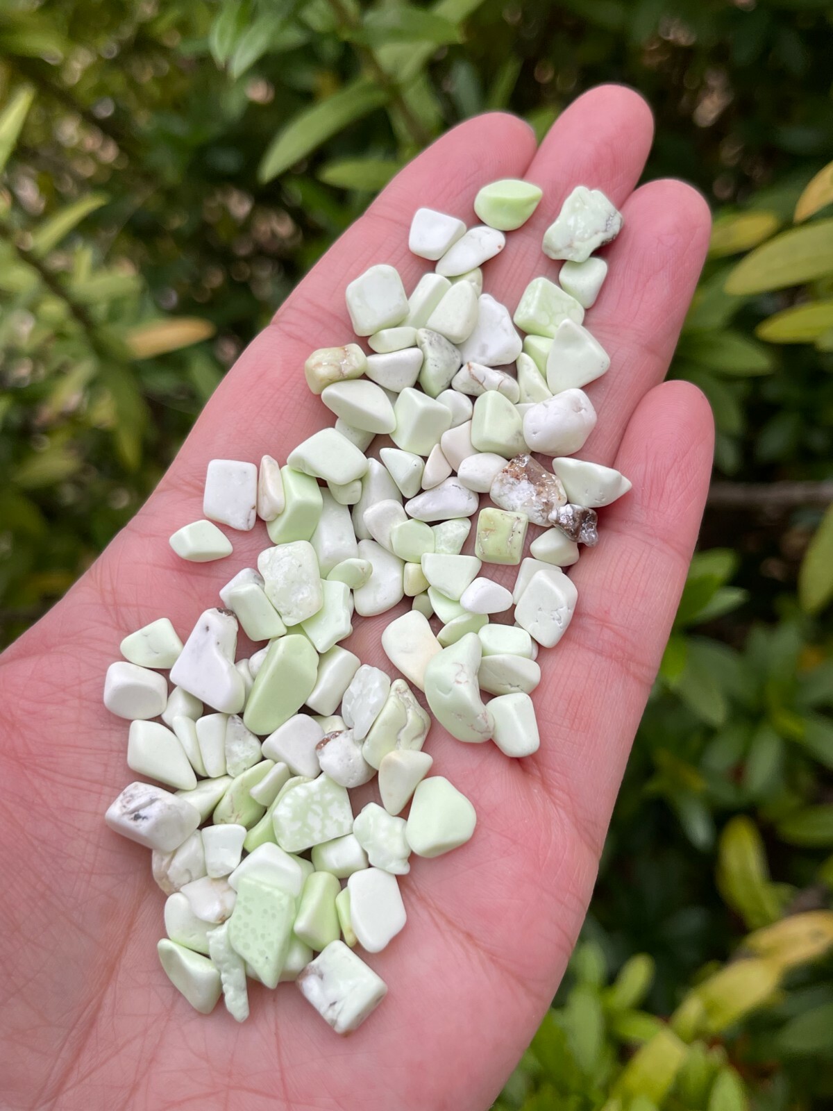 Lemon Chrysoprase Semi Tumbled Gemstone Mini Chips 5 – 10 mm, Wholesale Bulk Lot