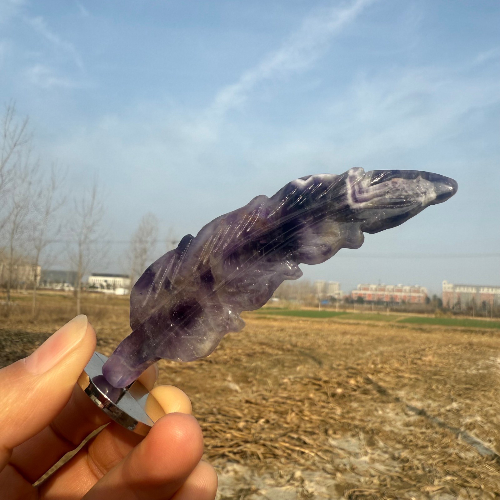 3.6″Natural Dream Amethyst hand carved Feathers Quartz Crystal heal Gift 1pc